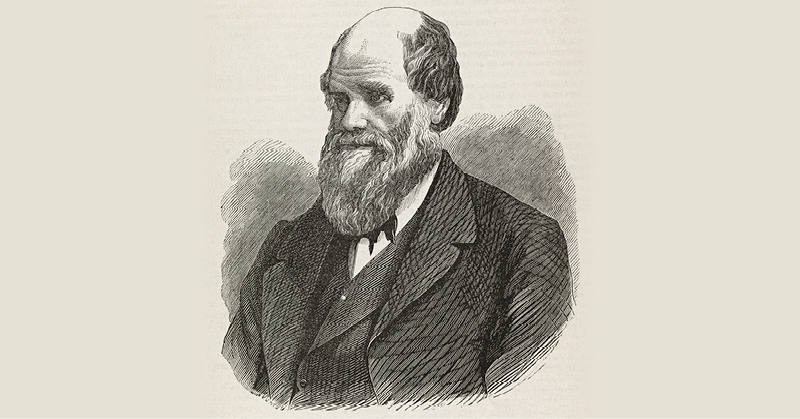 Tegning av Darwin