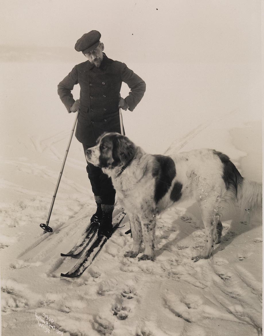 Foto av Roald Amundsen på ski og en hund