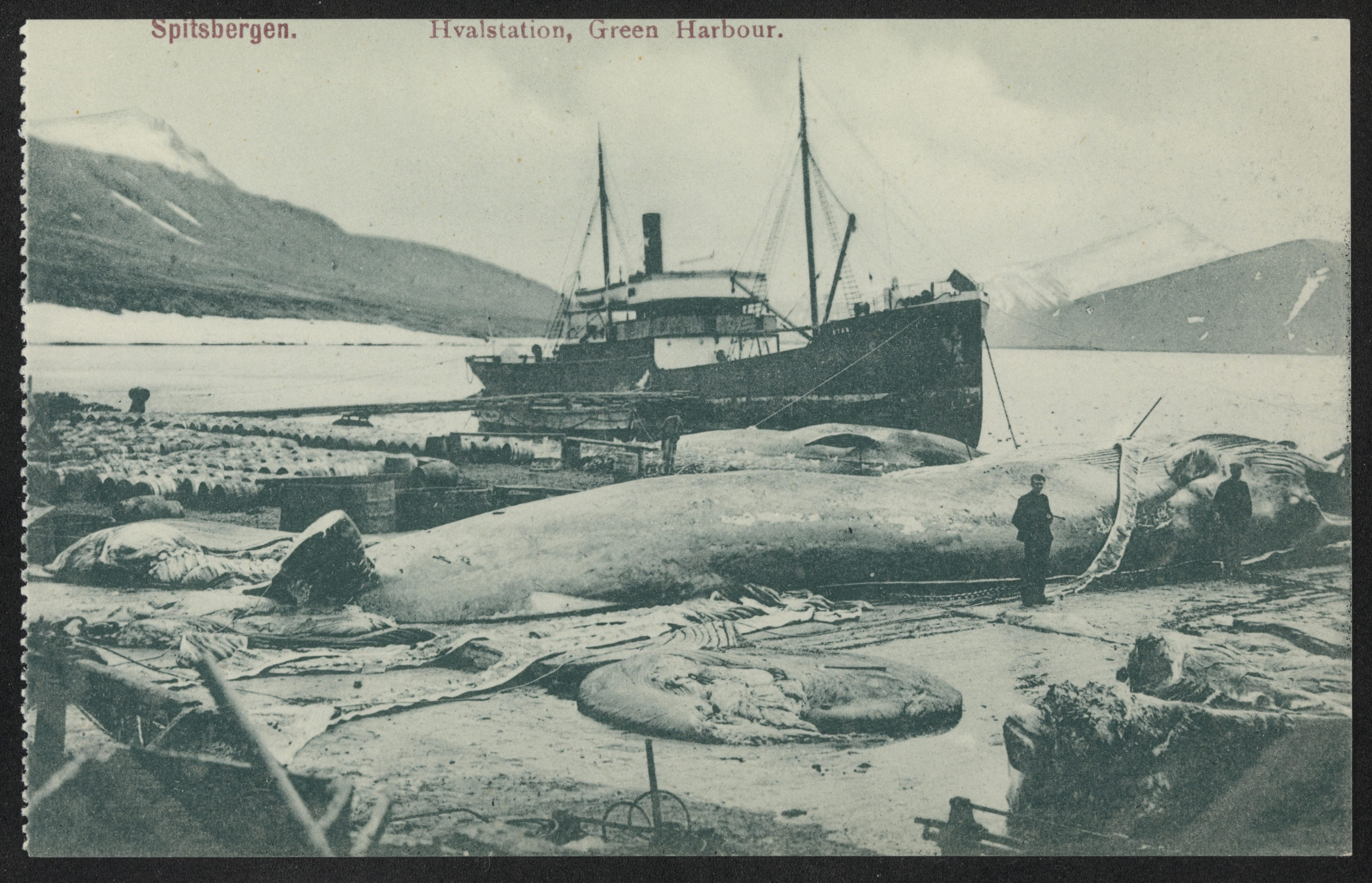 Havn. Skip foran fjell, død hval på stranden.