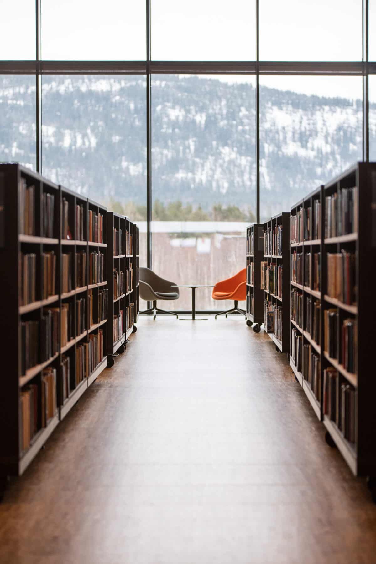 Bibliotekutvikling