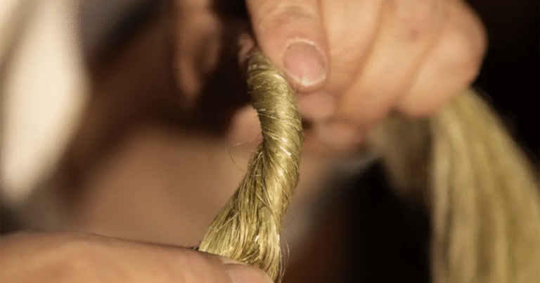 To hender spinner fibre av lin sammen