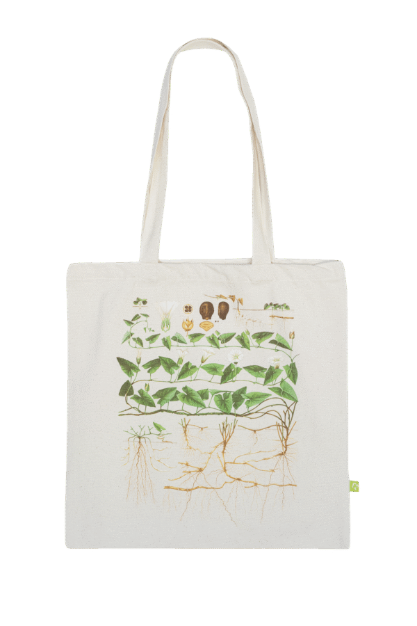 Ugress-handlenett: strandvindel