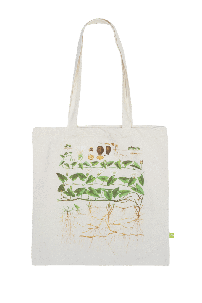 Ugress-handlenett: strandvindel