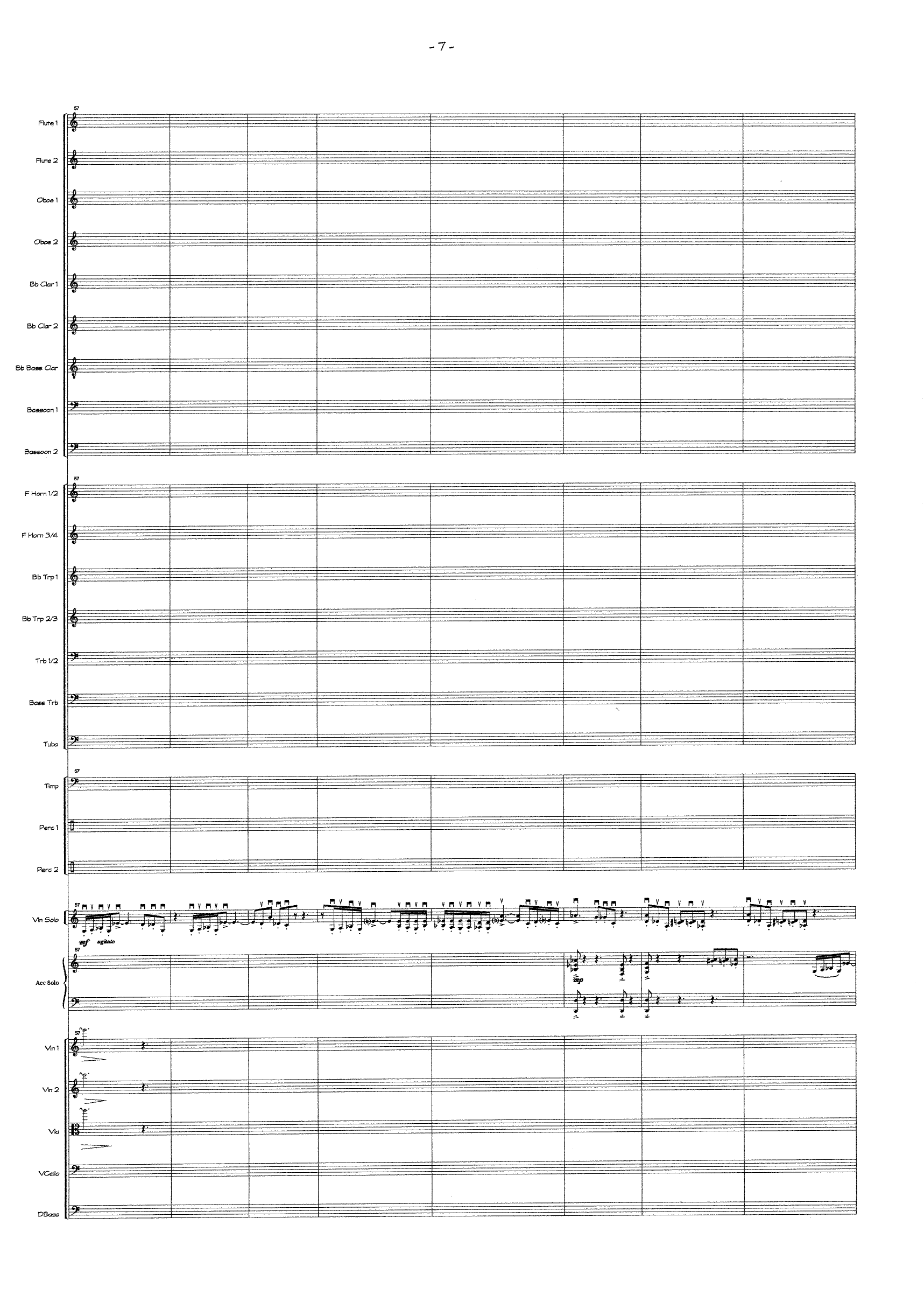 Concerto for Violin, Accordeon & Orchestra - Bilde 9