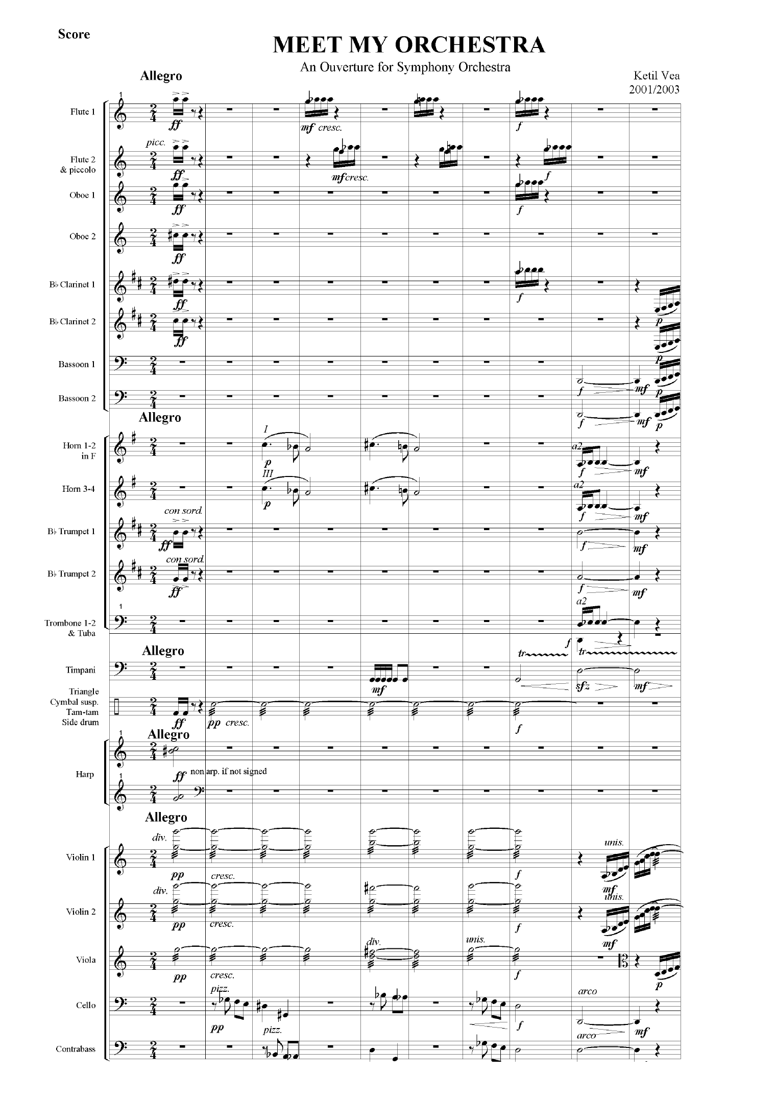 Meet My Orchestra - An Ouverture for Symphony Orchestra