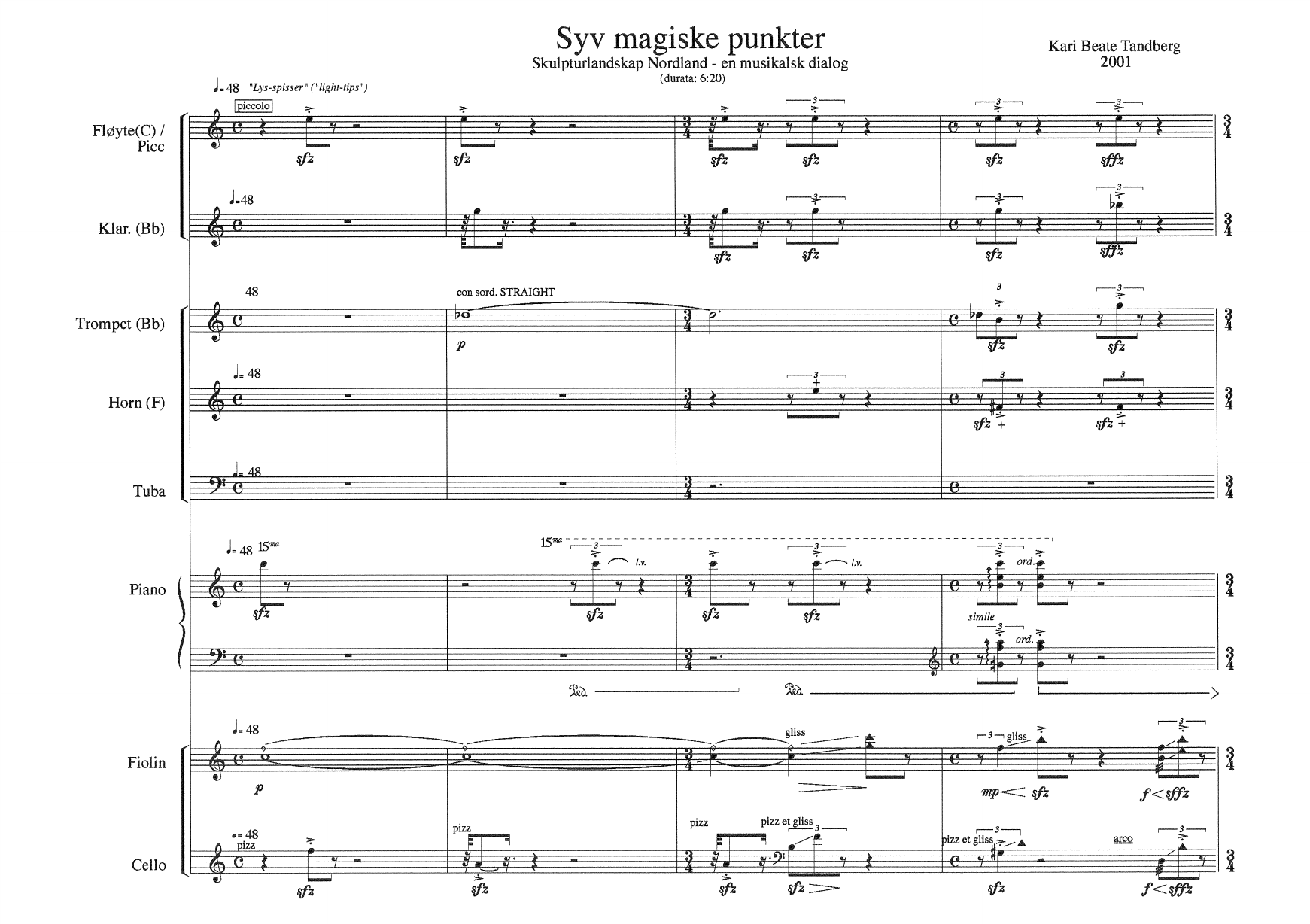 Syv magiske punkter - Fra Skulpturlandskap Nordland- en musikalsk dialog? - Image 2