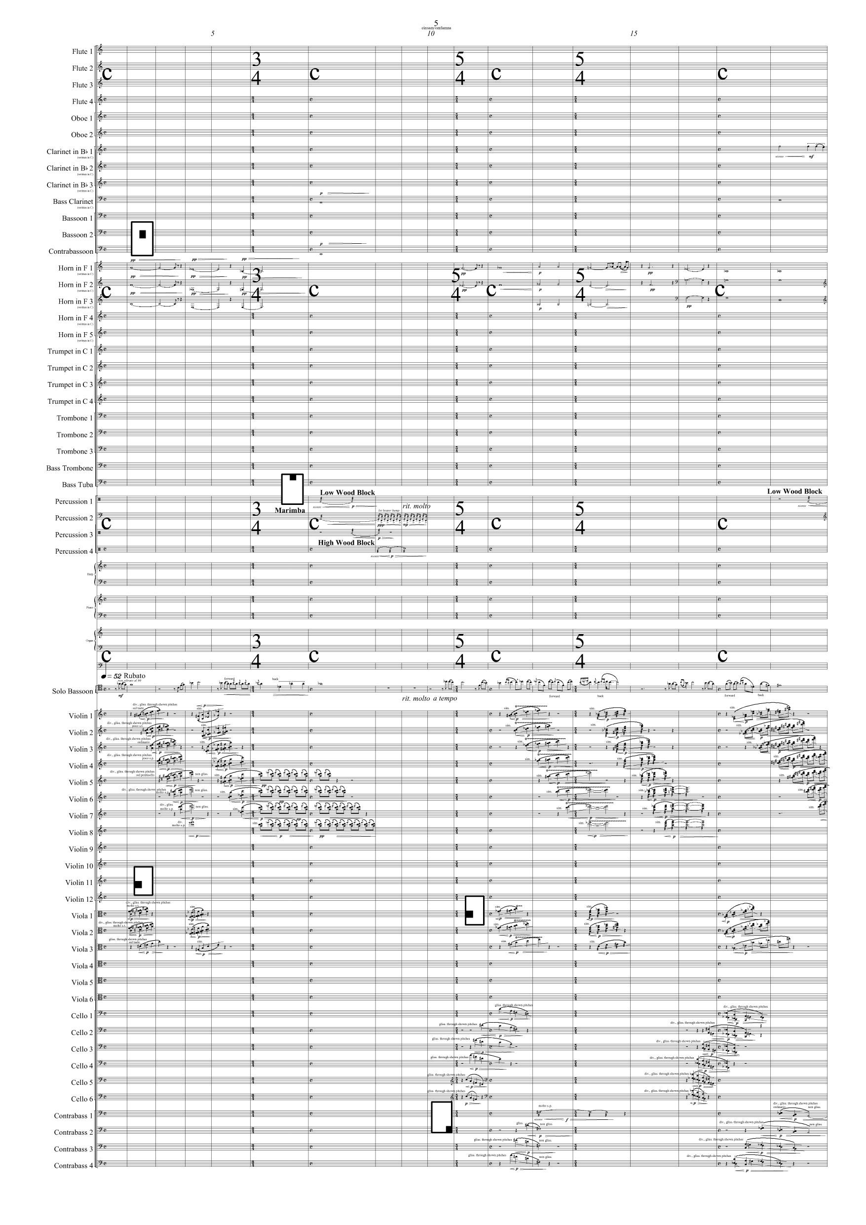 einsam / omfamna - for solo fagott og orkester - Bilde 5