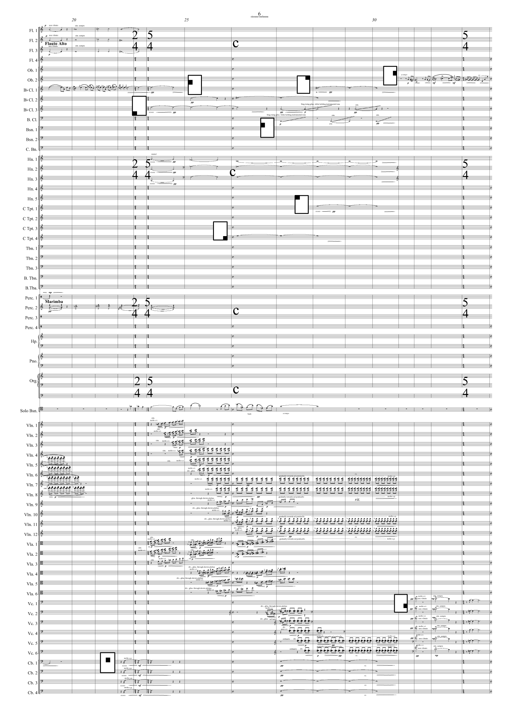 einsam / omfamna - for solo fagott og orkester - Bilde 6
