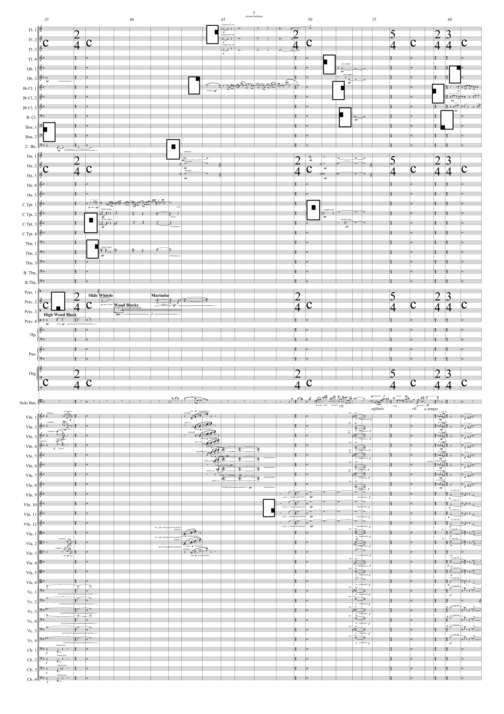 einsam / omfamna - for solo fagott og orkester - Bilde 7