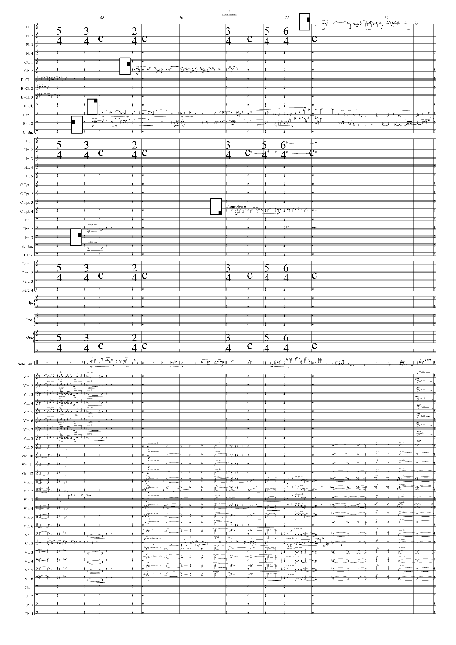 einsam / omfamna - for solo fagott og orkester - Bilde 8