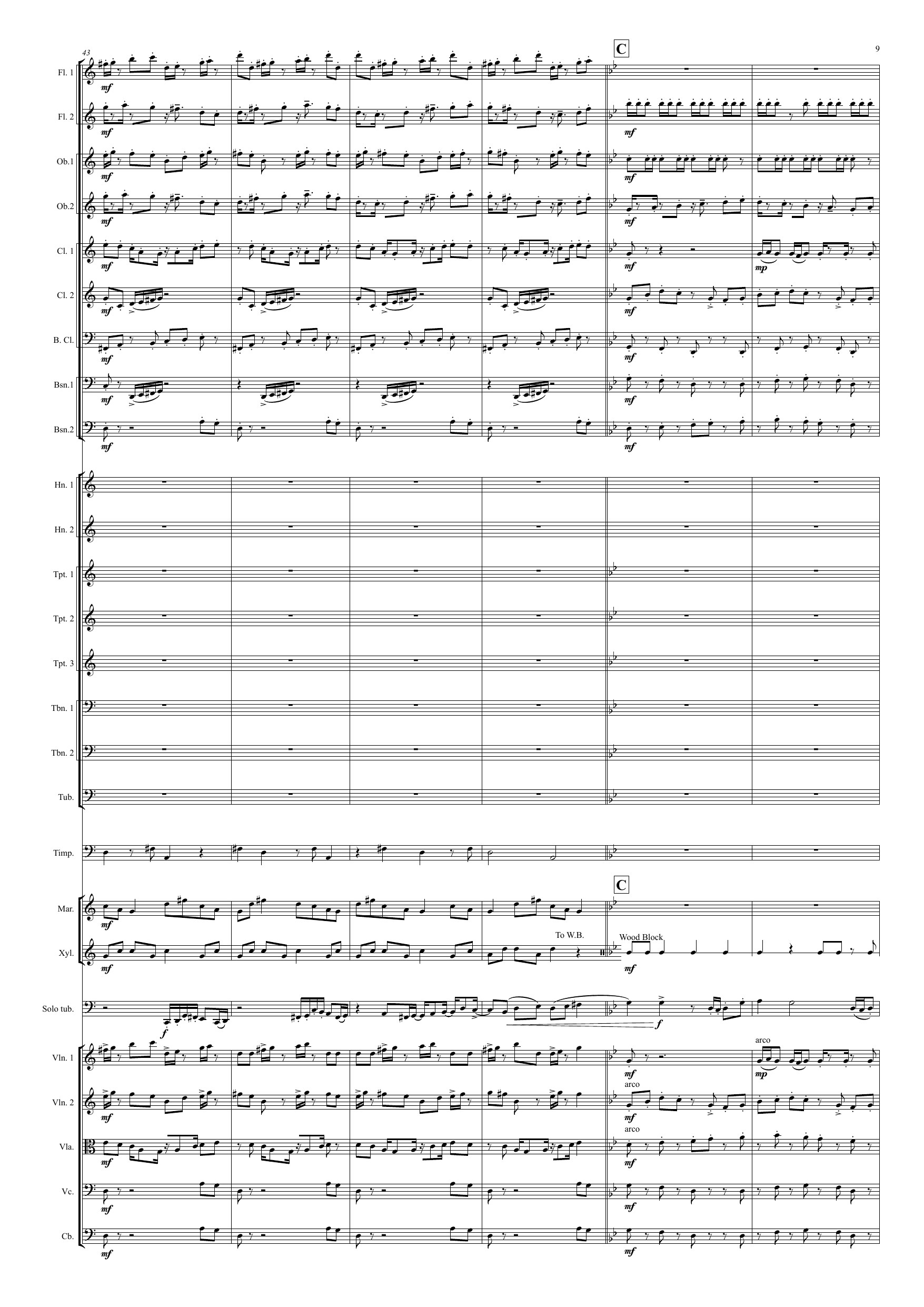 Concerto for Tuba and Orchestra - Bilde 9