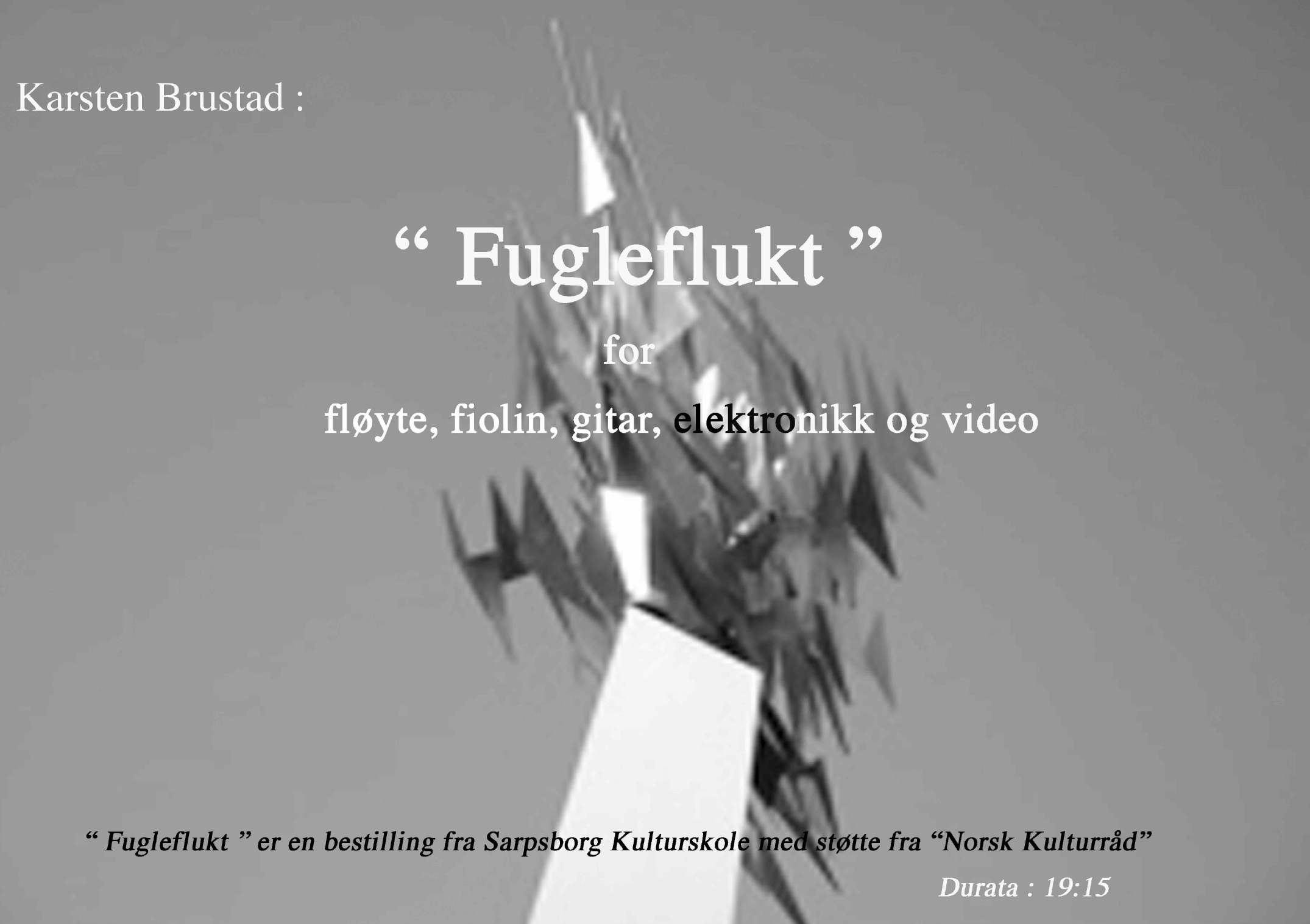Fugleflukt - For fløyte,fiolin, gitar og elektronikk og video