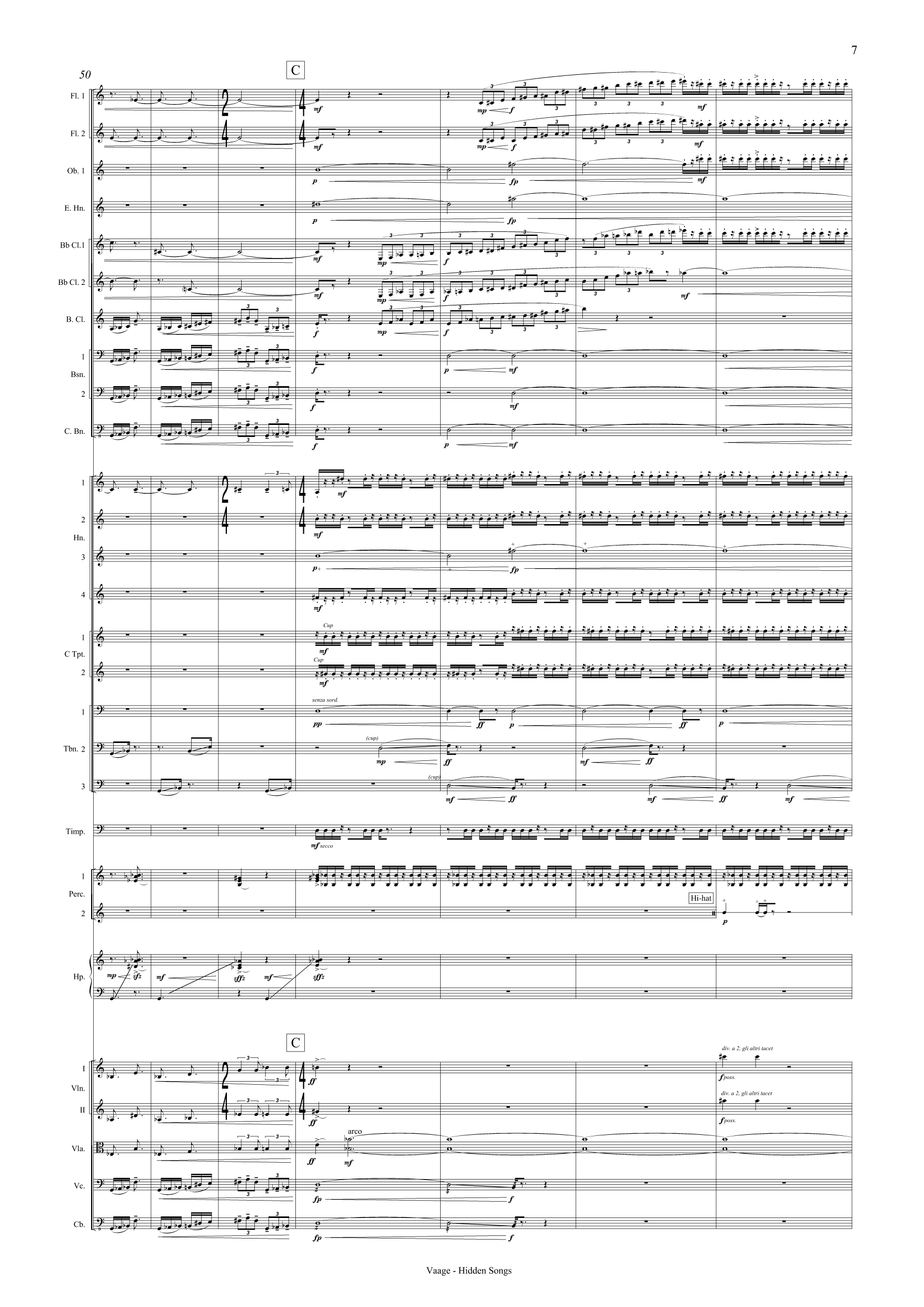 Skjulte songar - For orkester - Bilde 9
