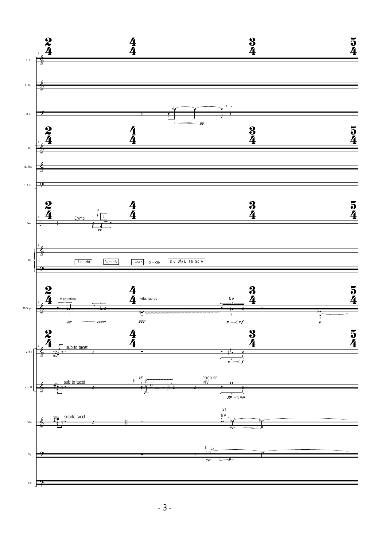 tReMbLiNg - For 14 musicians - Image 9