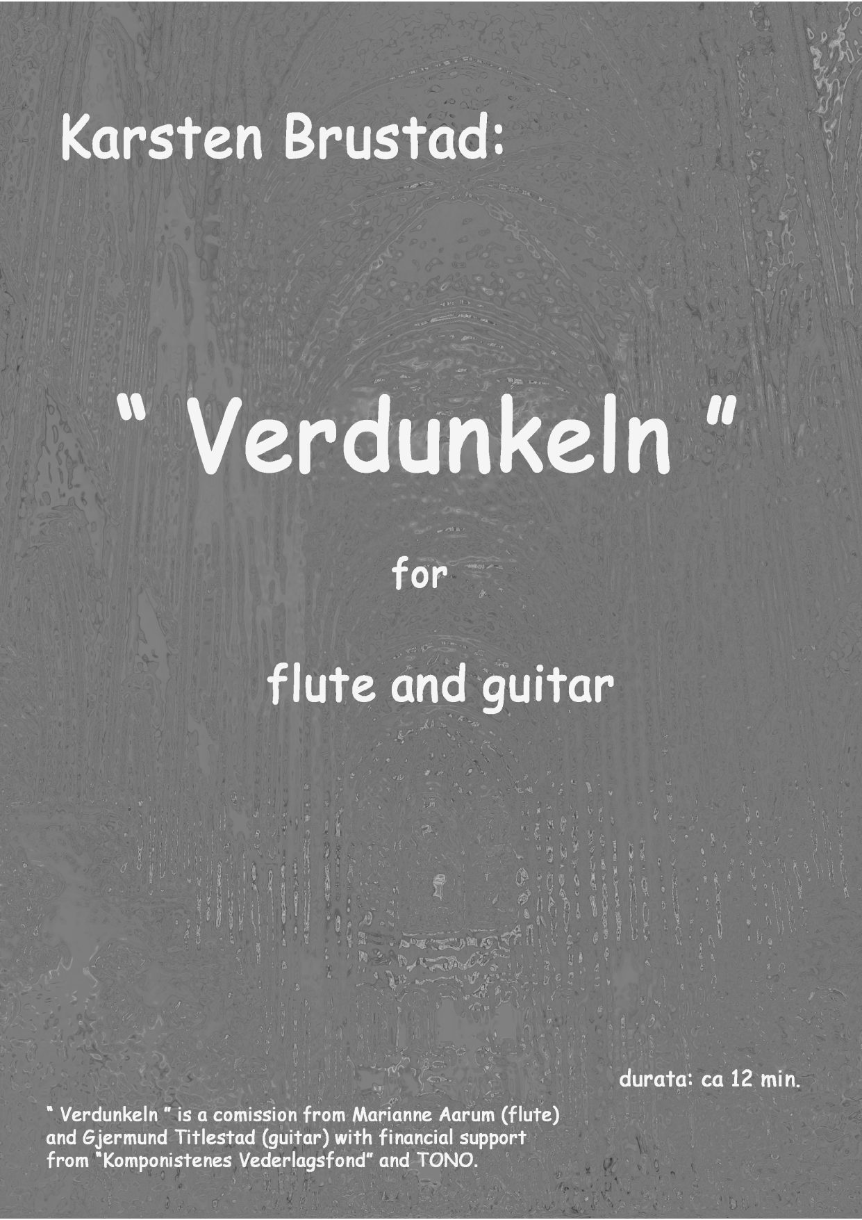 Verdunkeln - For flute and guitar