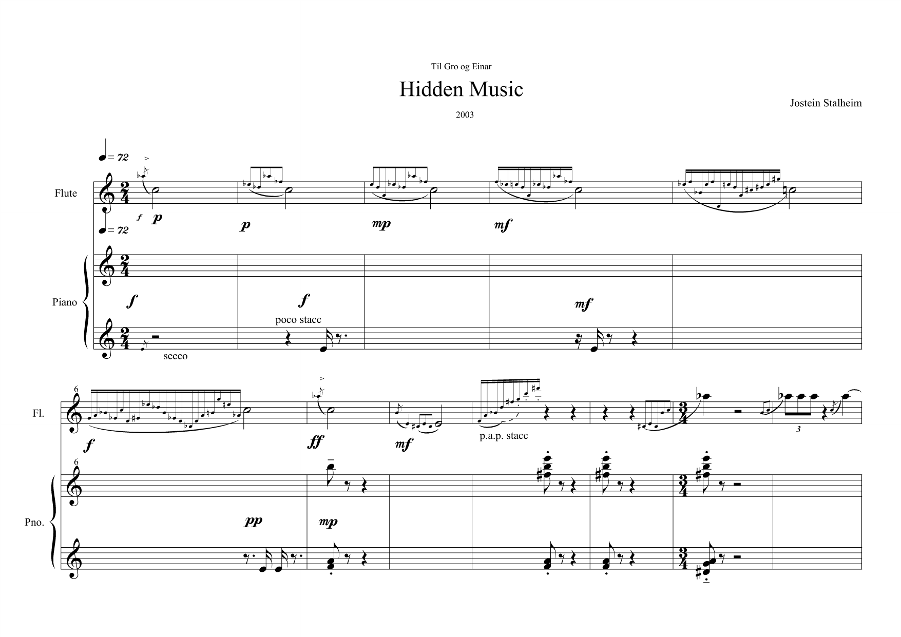 Hidden Music