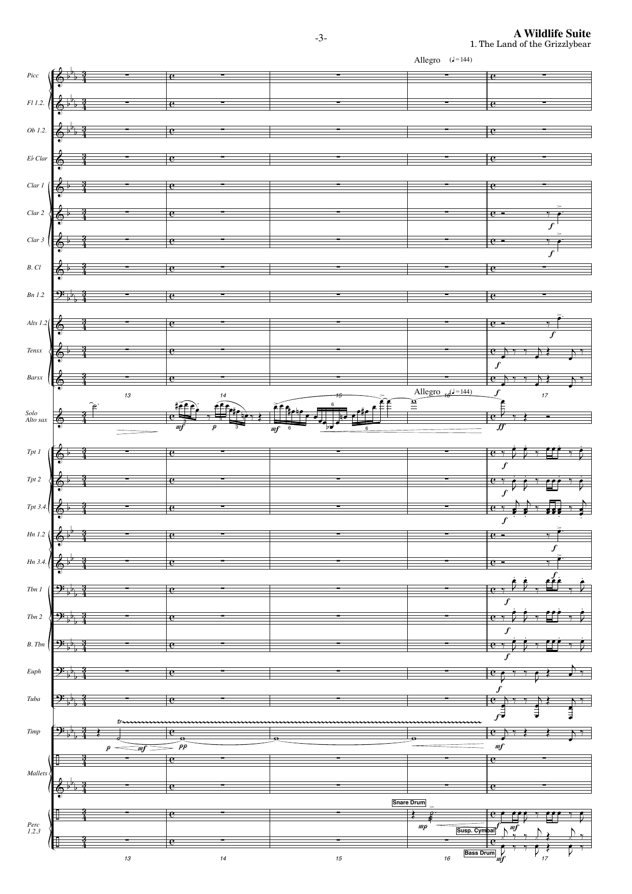 A Wildlife Suite - For alto saxophone and symphonic band - Image 5