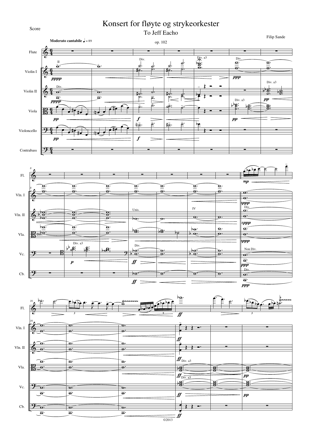 Concerto  for Flute & String Orchestra, Op. 102 - Image 2