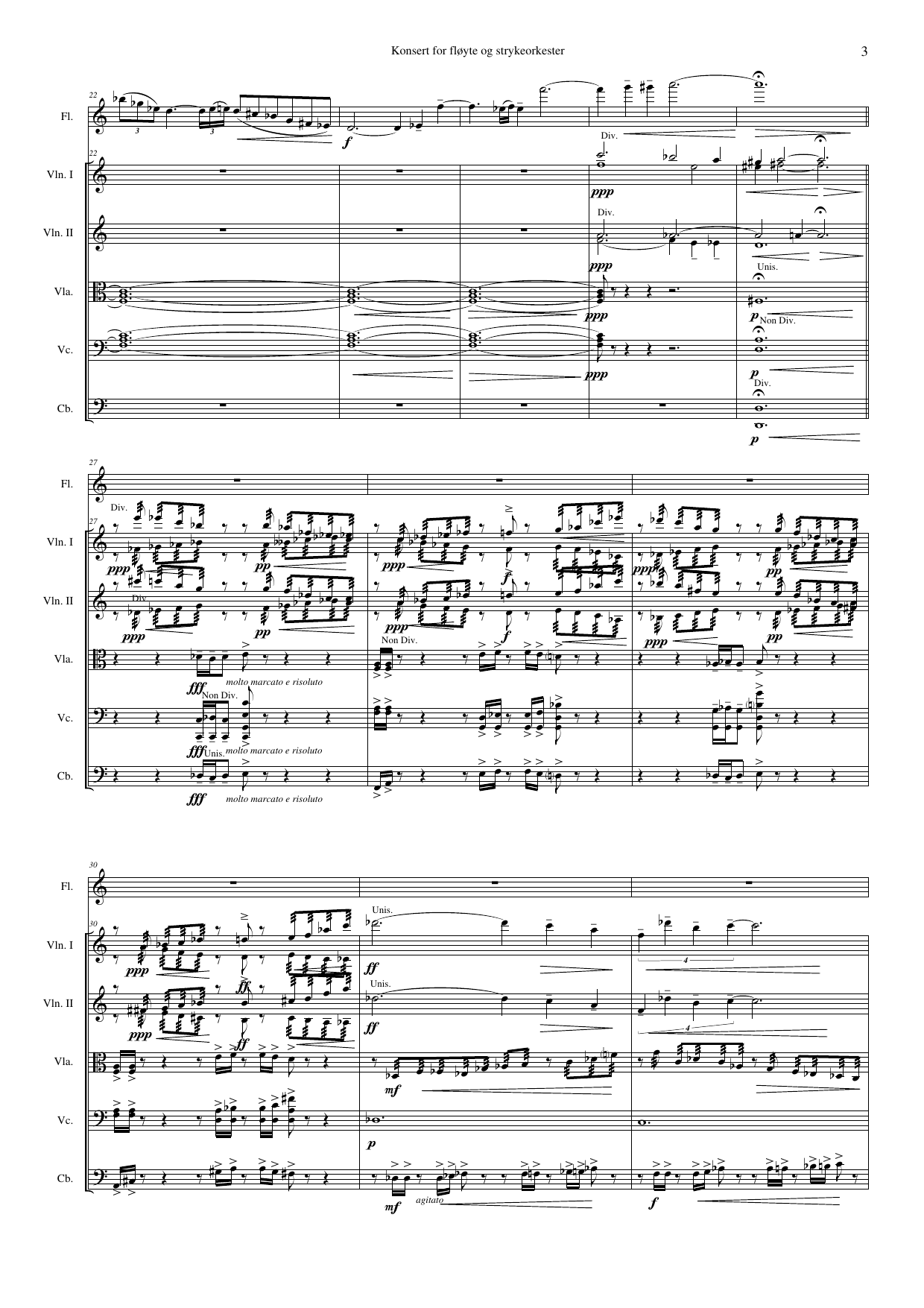 Concerto  for Flute & String Orchestra, Op. 102 - Image 3
