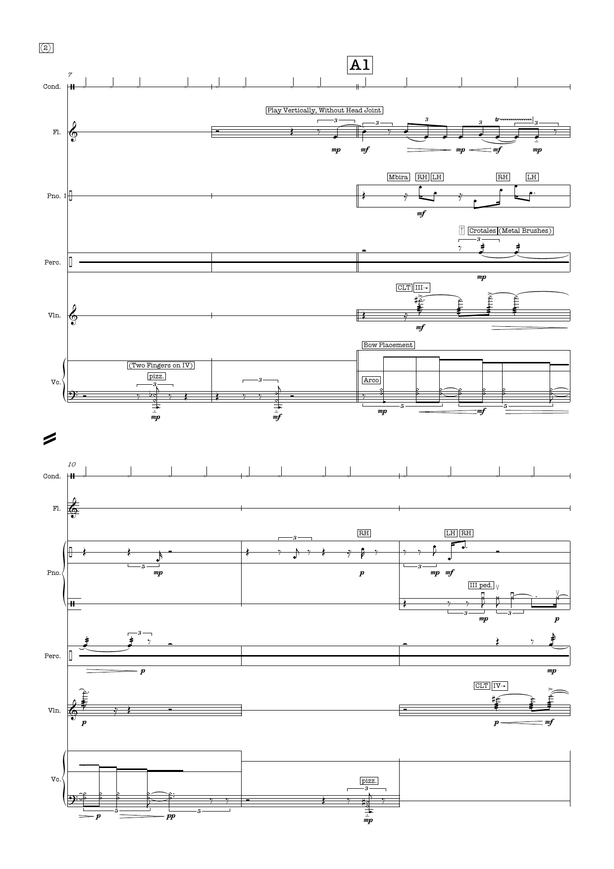 A Pint of Plain - For quintet and conductor with staff - Image 10