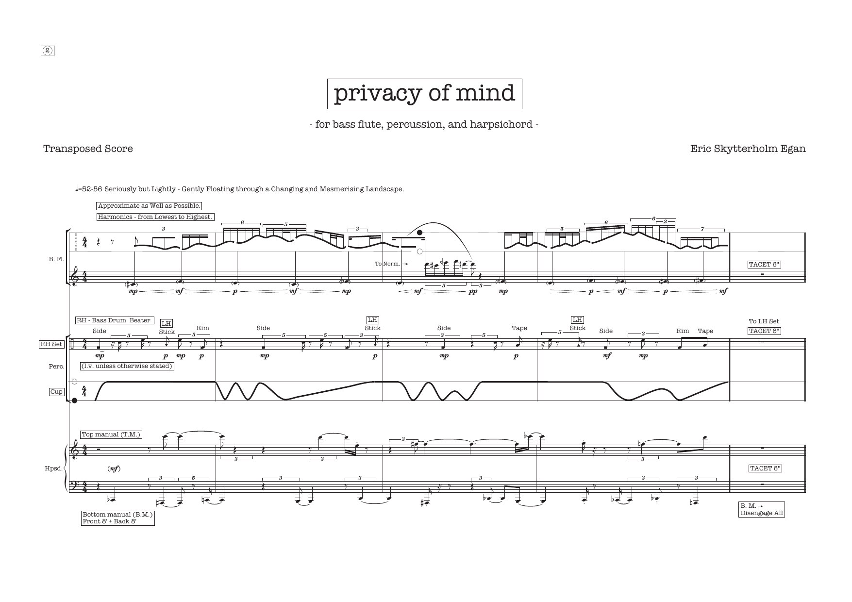 privacy of mind - for bass flute, percussion, and harpsichord - Image 6