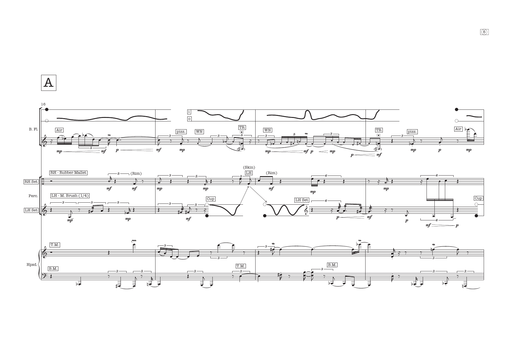 privacy of mind - for bass flute, percussion, and harpsichord - Image 9