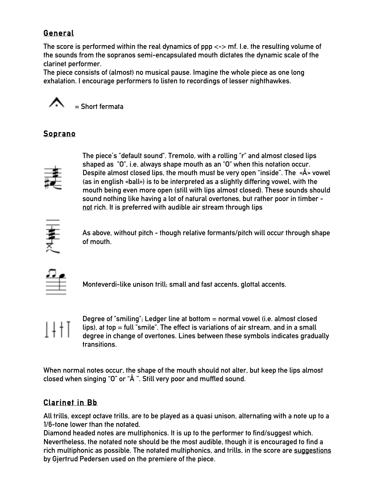 The Lesser Nighthawk - for clarinet in Bb & soprano - Image 4