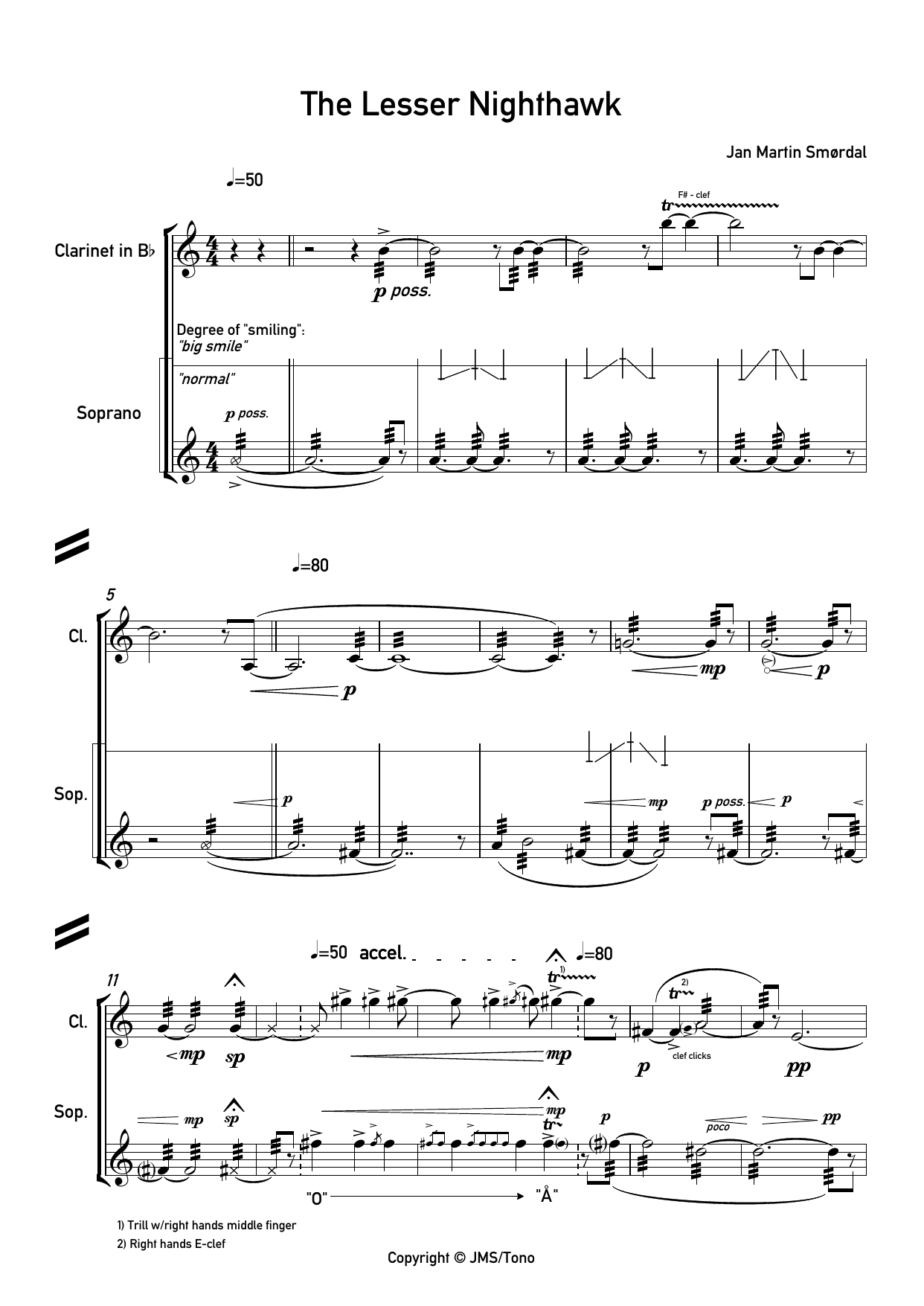 The Lesser Nighthawk - for clarinet in Bb & soprano - Image 5