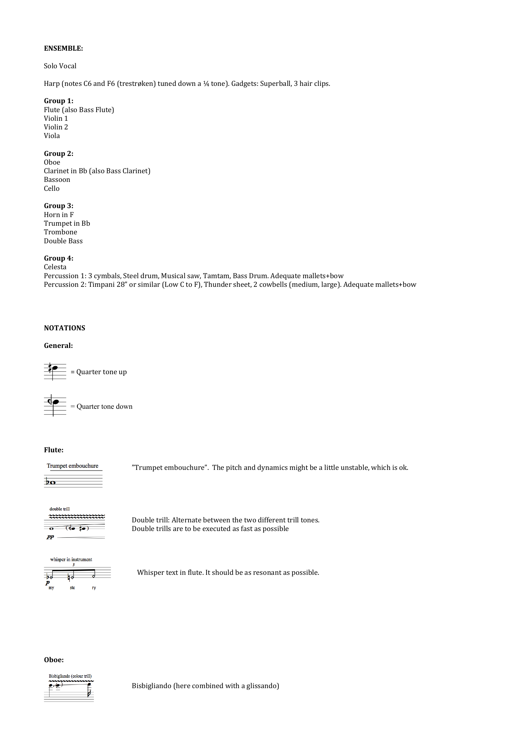 Sserenades - 7 Movements for solo female voice and ensemble - Image 3