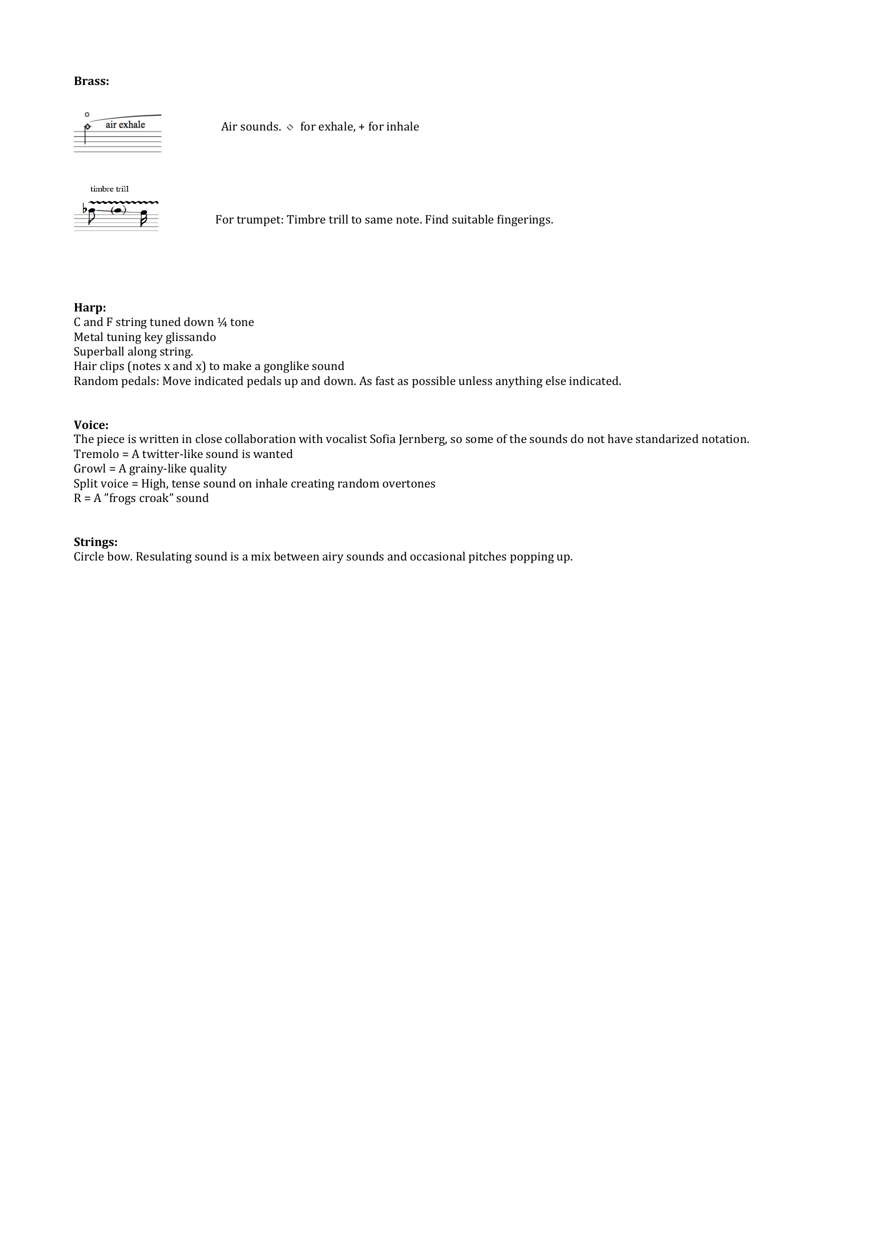 Sserenades - 7 Movements for solo female voice and ensemble - Image 5