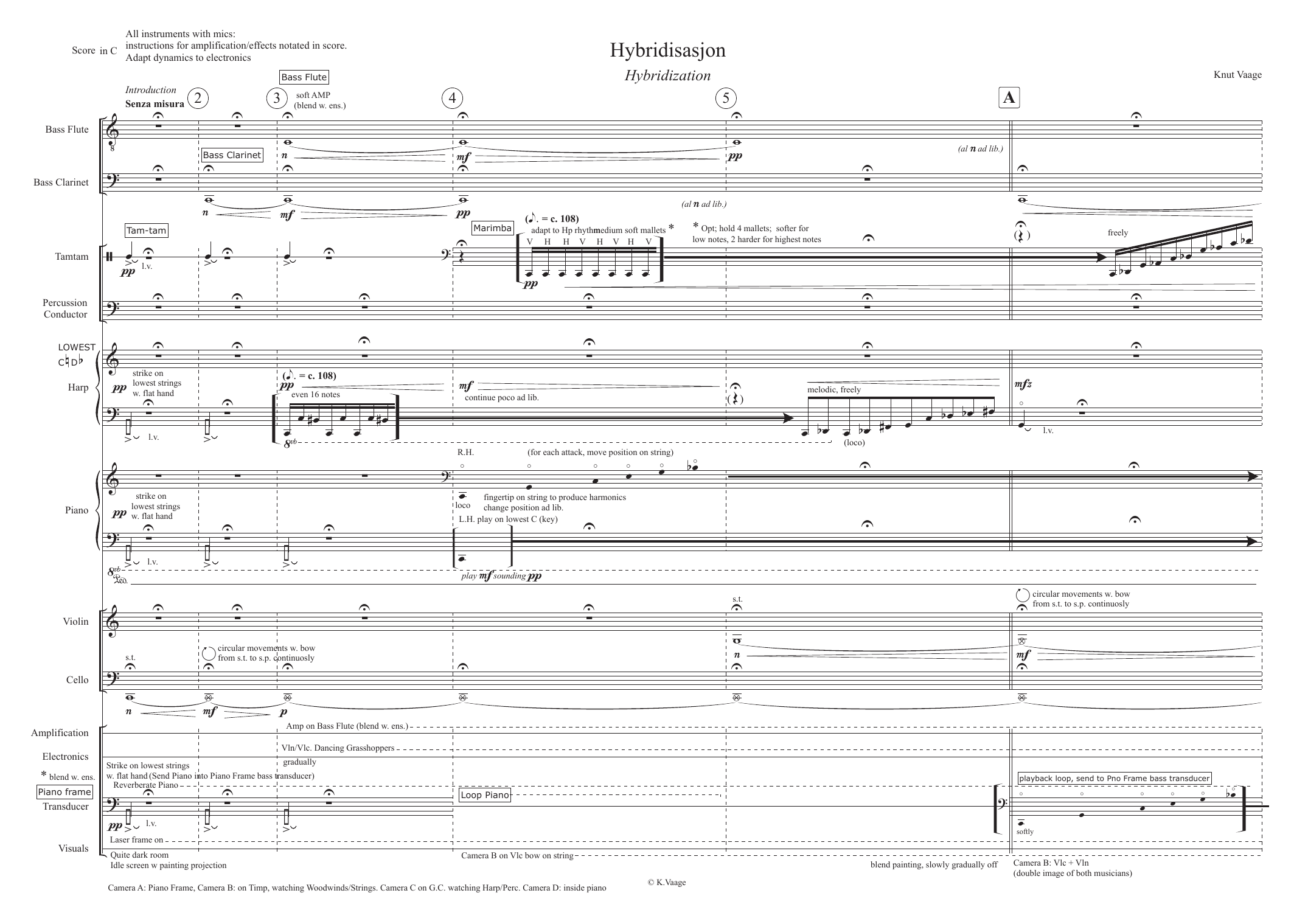 Hybridization - for ensemble, electronics and visuals - Image 3
