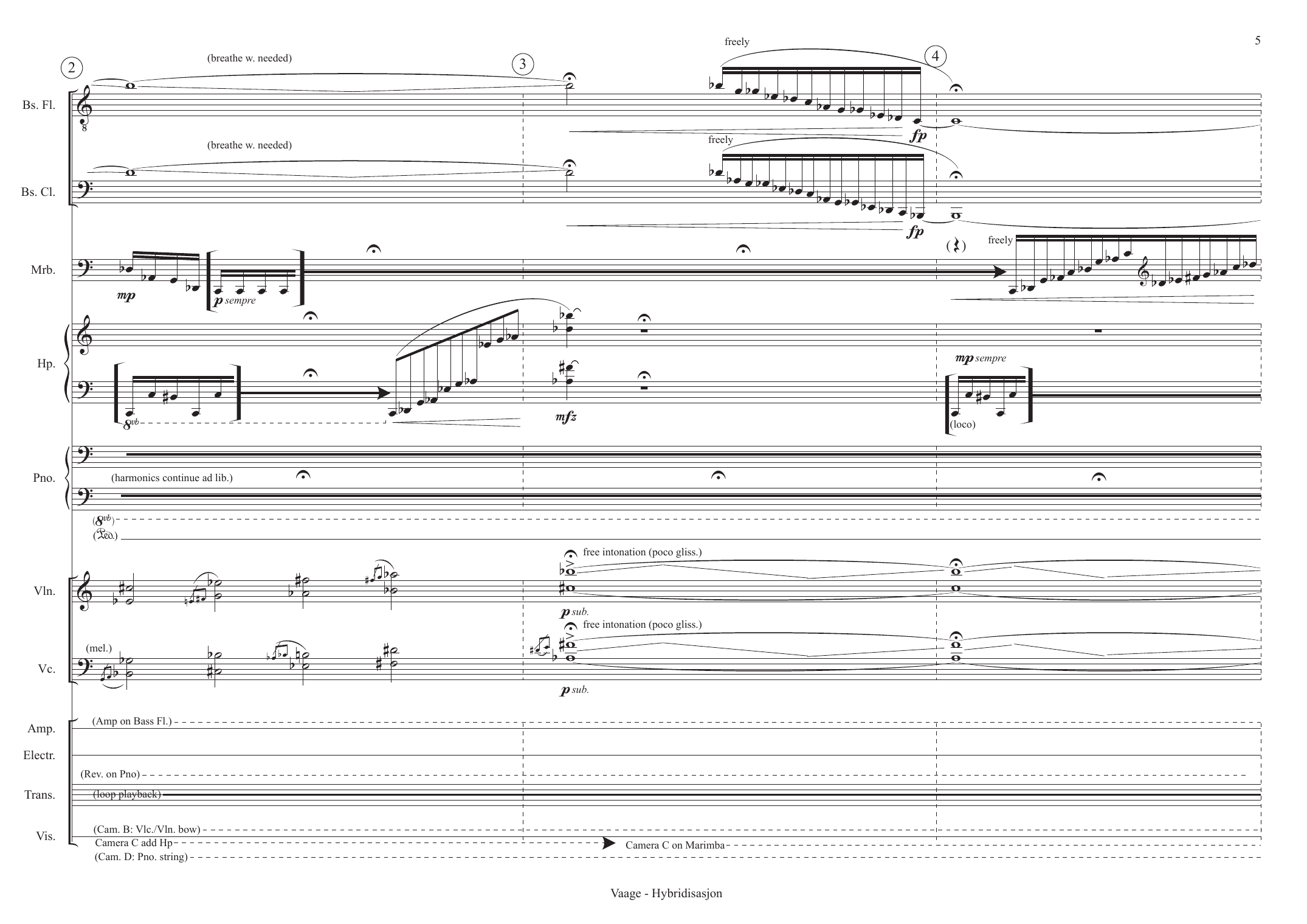 Hybridization - for ensemble, electronics and visuals - Image 5