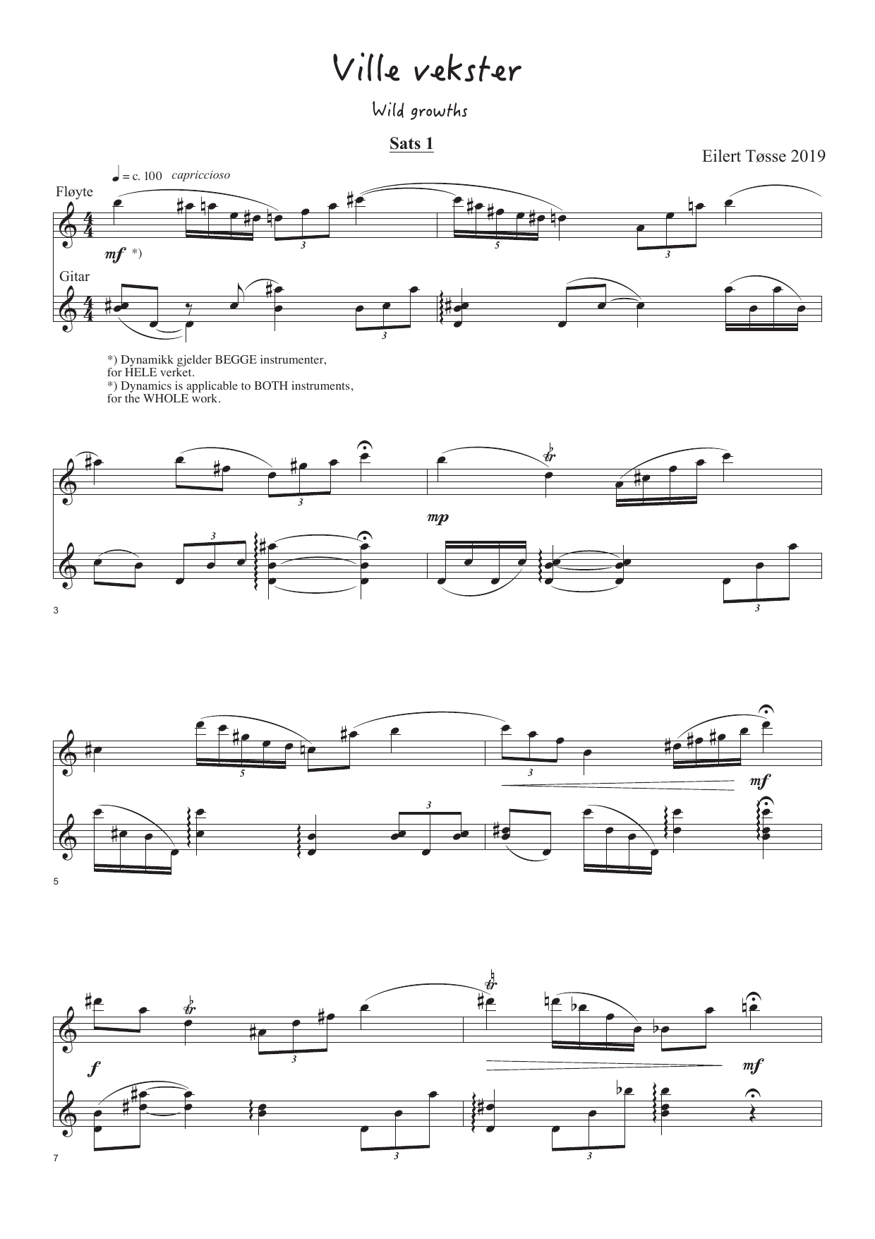 Wild Growths - 17 miniatures for flutes and guitar - Image 3