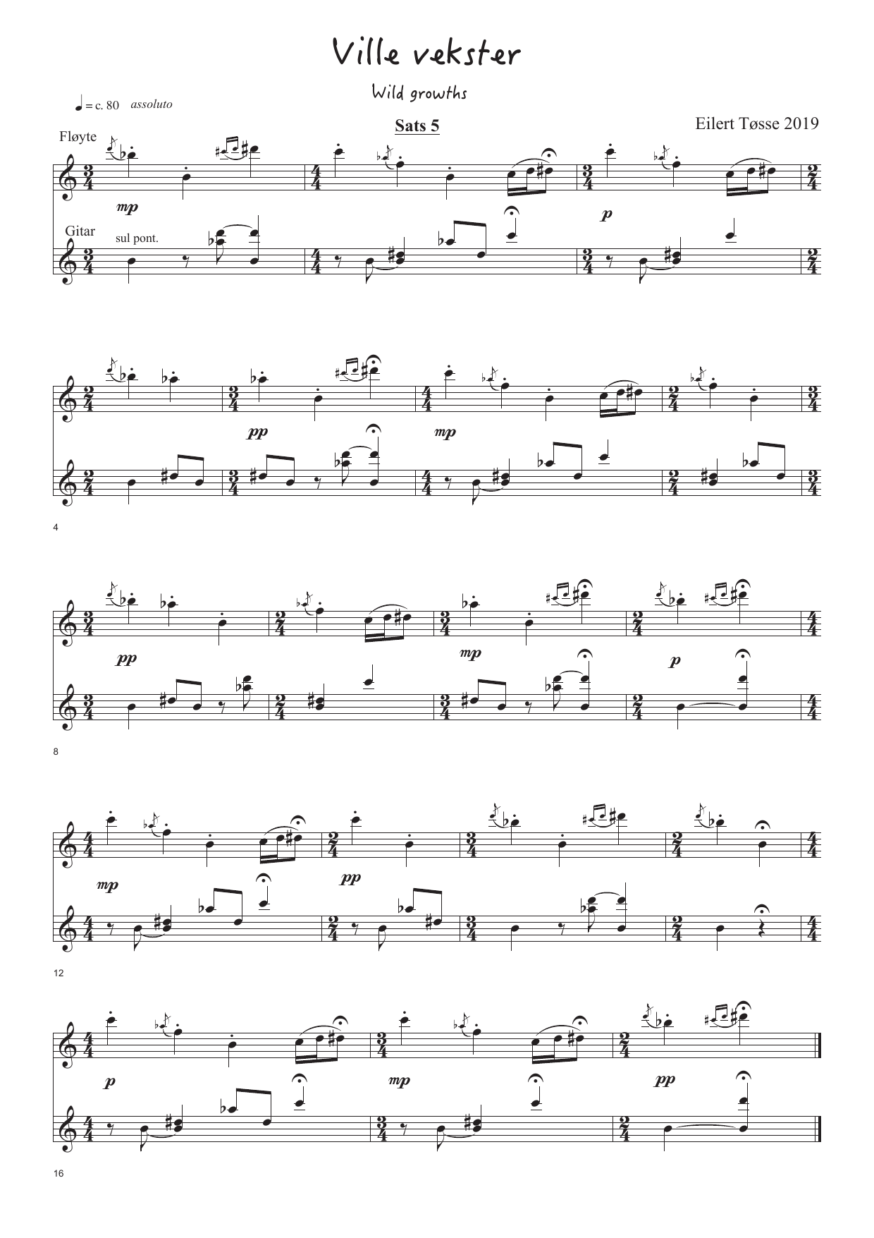 Wild Growths - 17 miniatures for flutes and guitar - Image 8