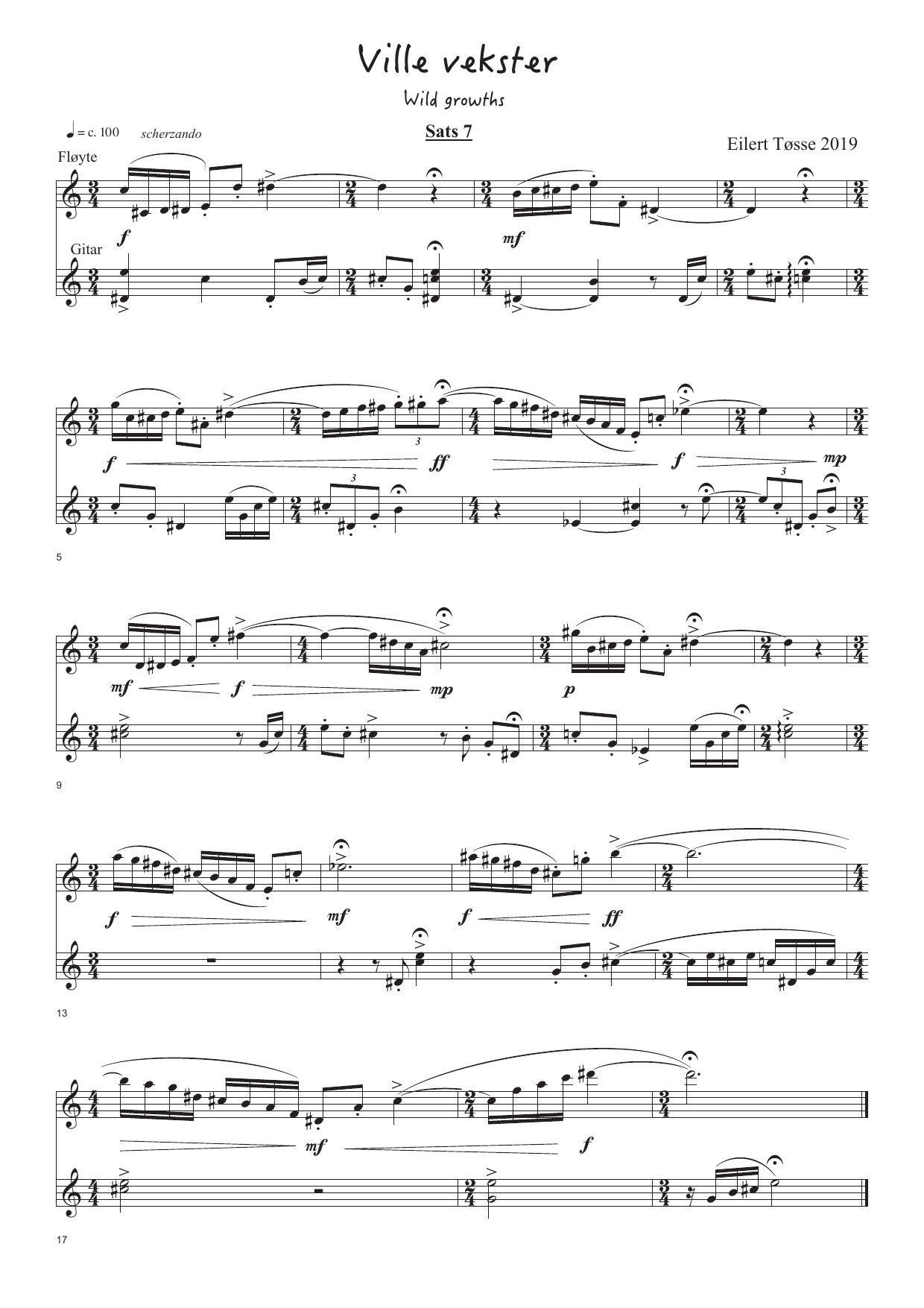 Wild Growths - 17 miniatures for flutes and guitar - Image 10