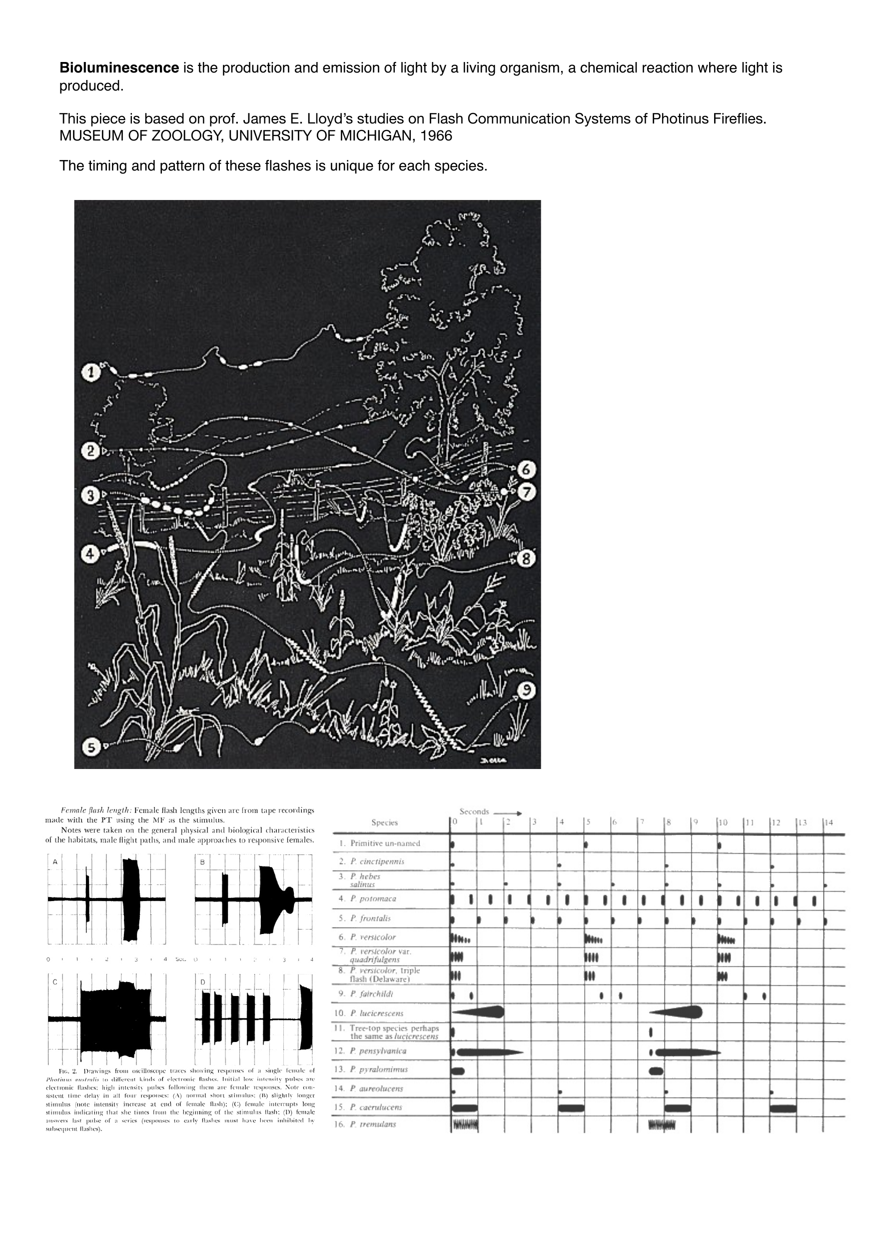 Bioluminescence for reduced orchestra - Image 6
