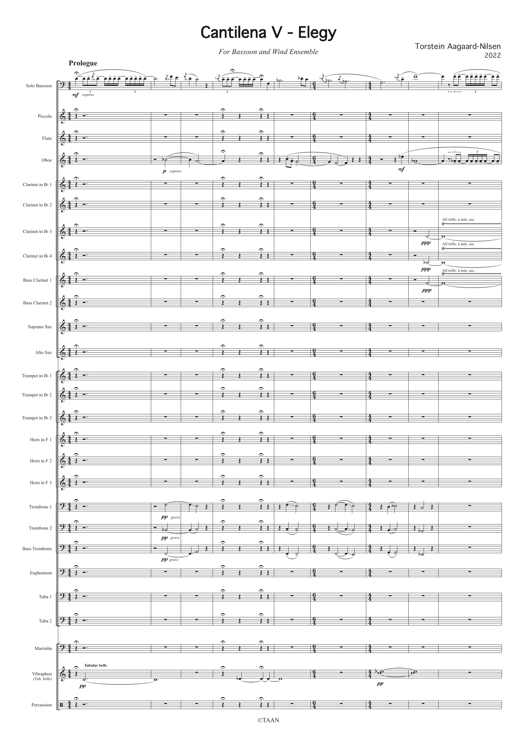 Cantilena V - Elegy for bassoon and wind ensemble - Image 3