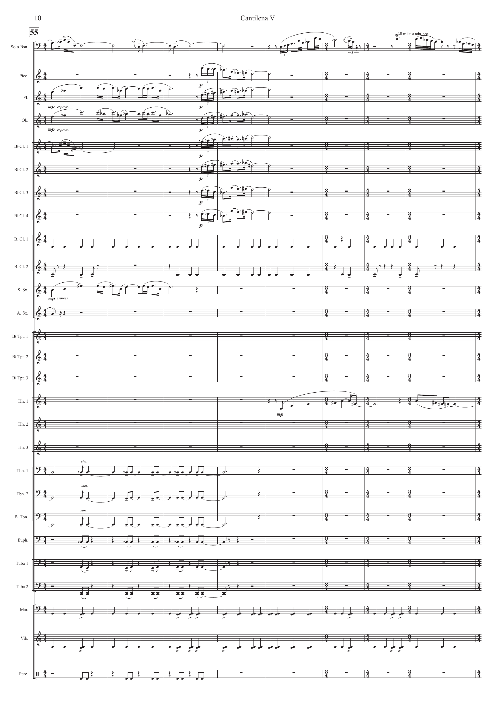 Cantilena V - Elegy for bassoon and wind ensemble - Image 10