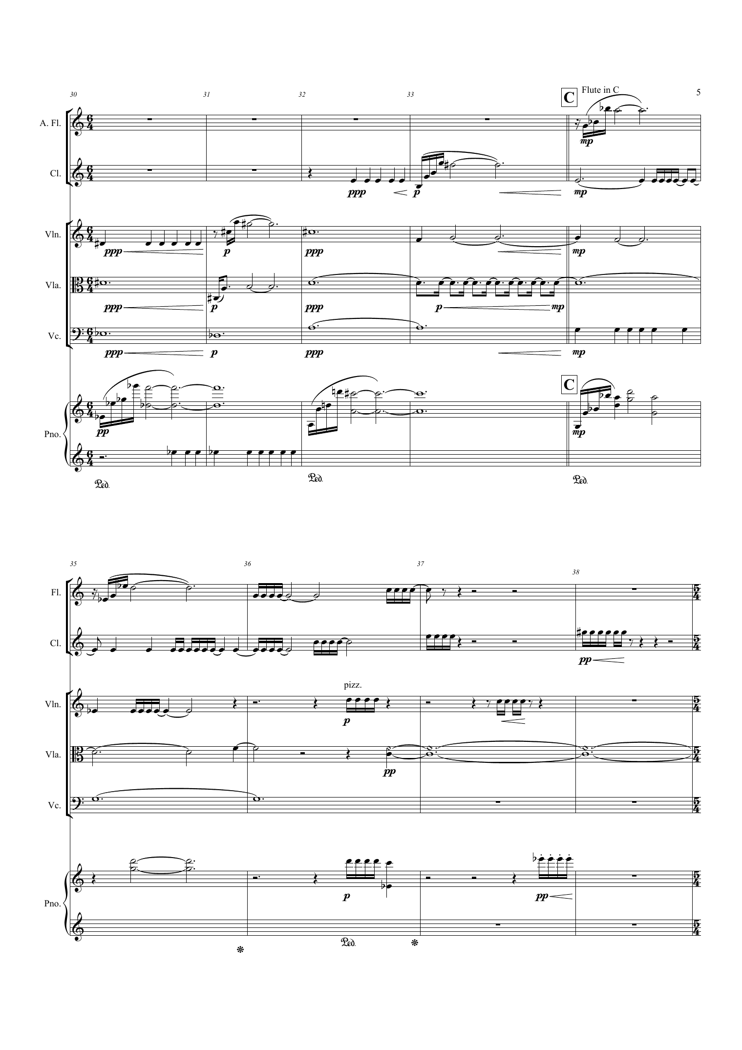 Color and Structure - For alto flute, clarinet in Bb, violin, viola, cello and piano - Image 7