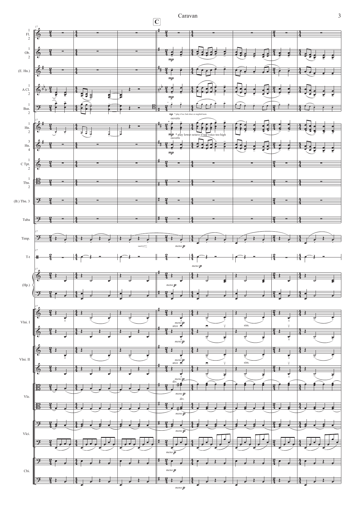 Caravan - Slow Movement for Amateur orchestra - Image 3