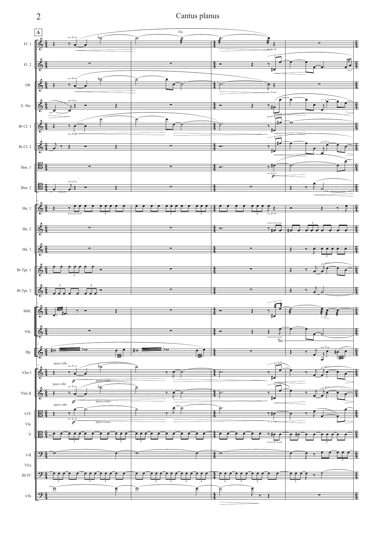 Cantus planus - for orchestra - Image 2