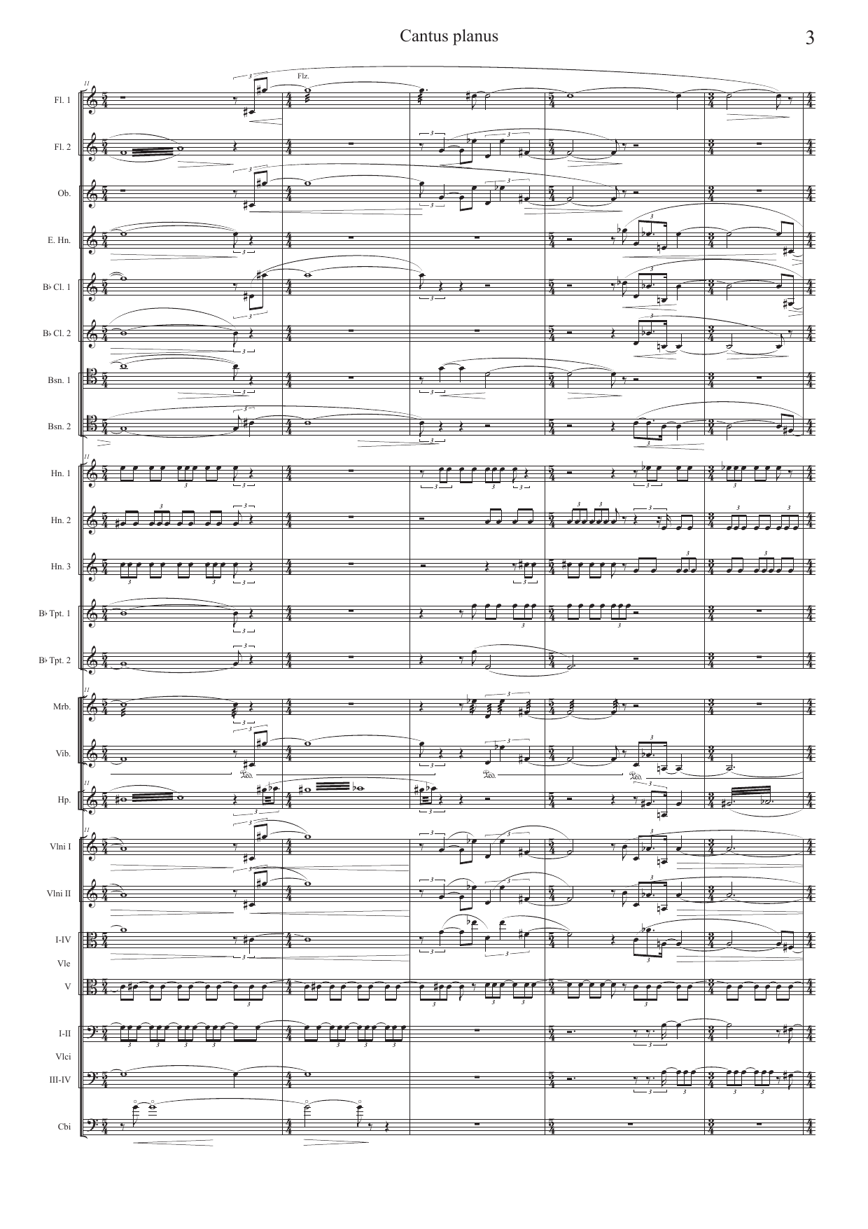 Cantus planus - for orchestra - Image 3