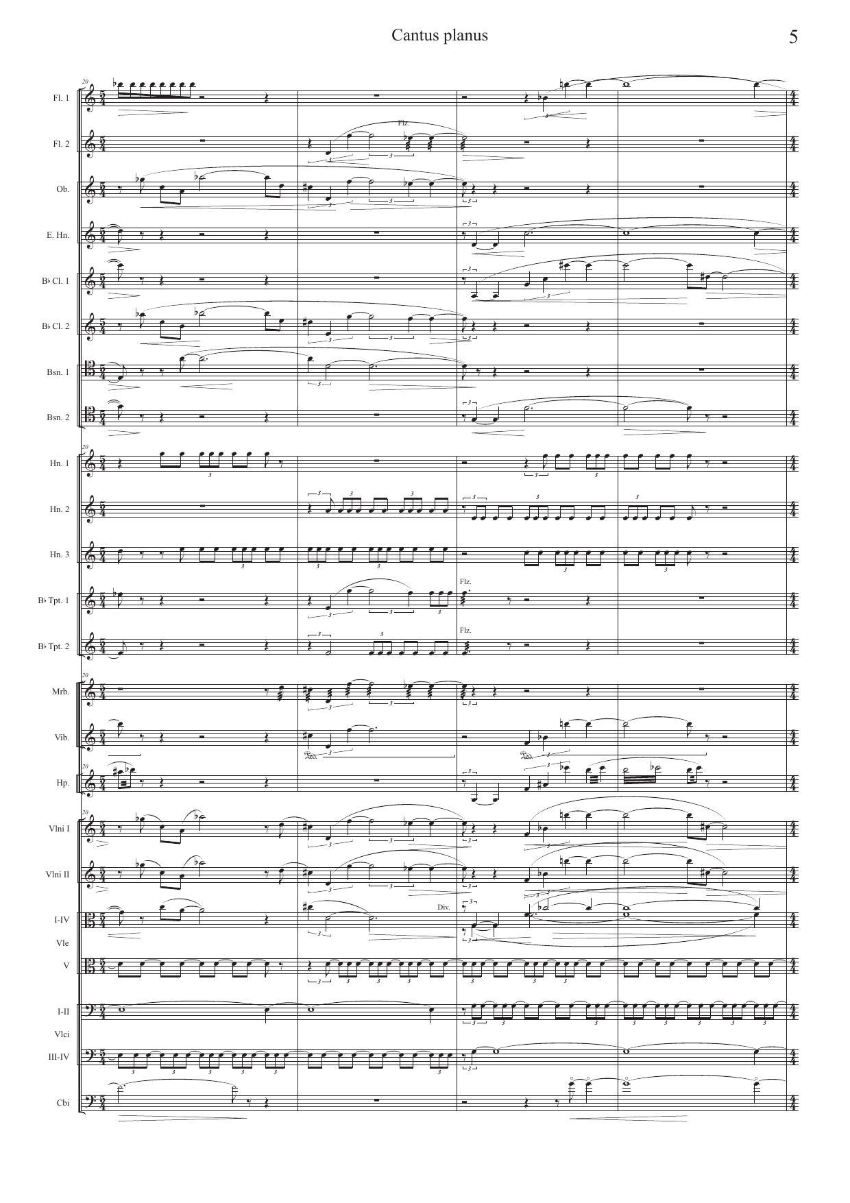 Cantus planus - for orchestra - Image 5
