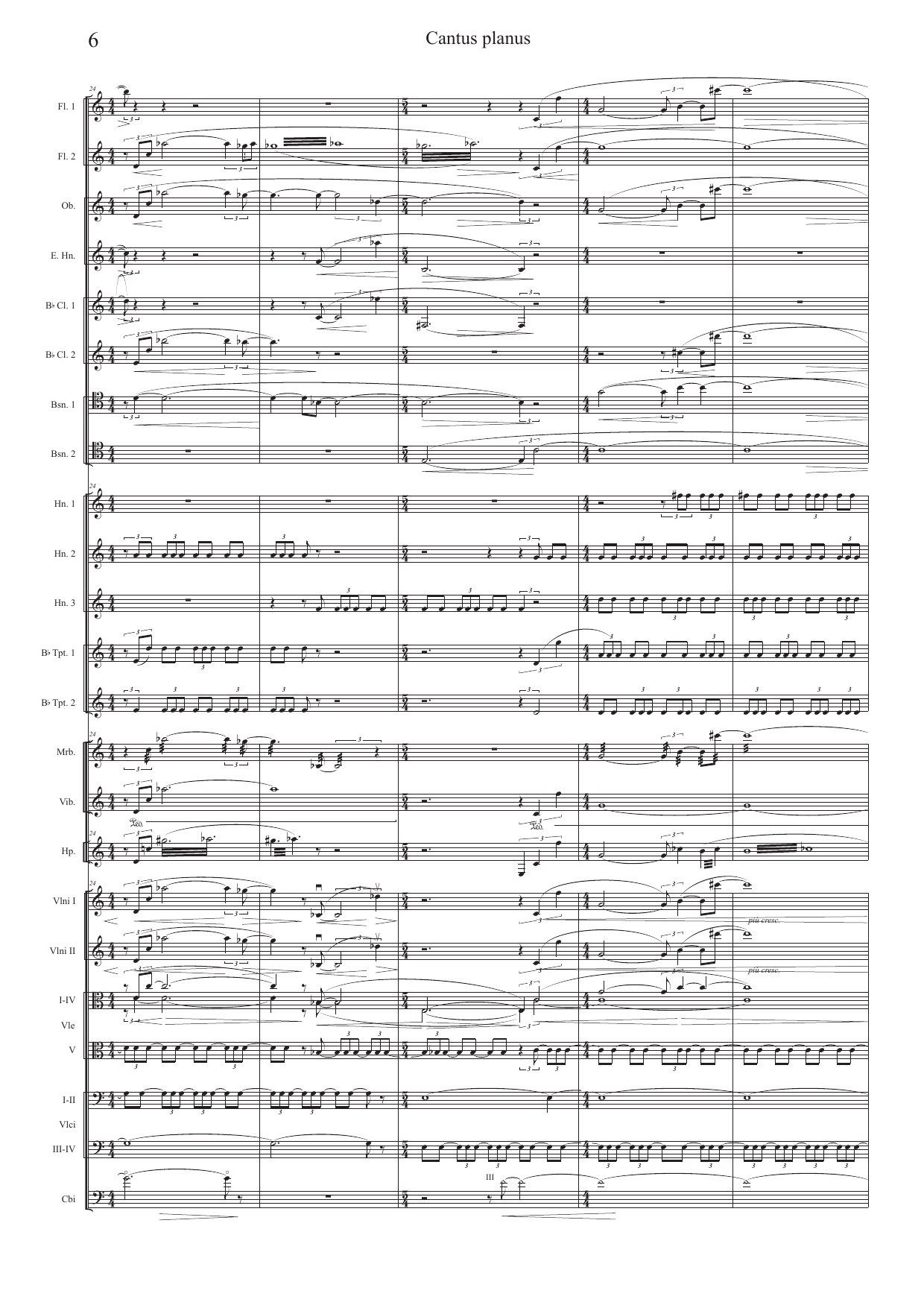 Cantus planus - for orchestra - Image 6