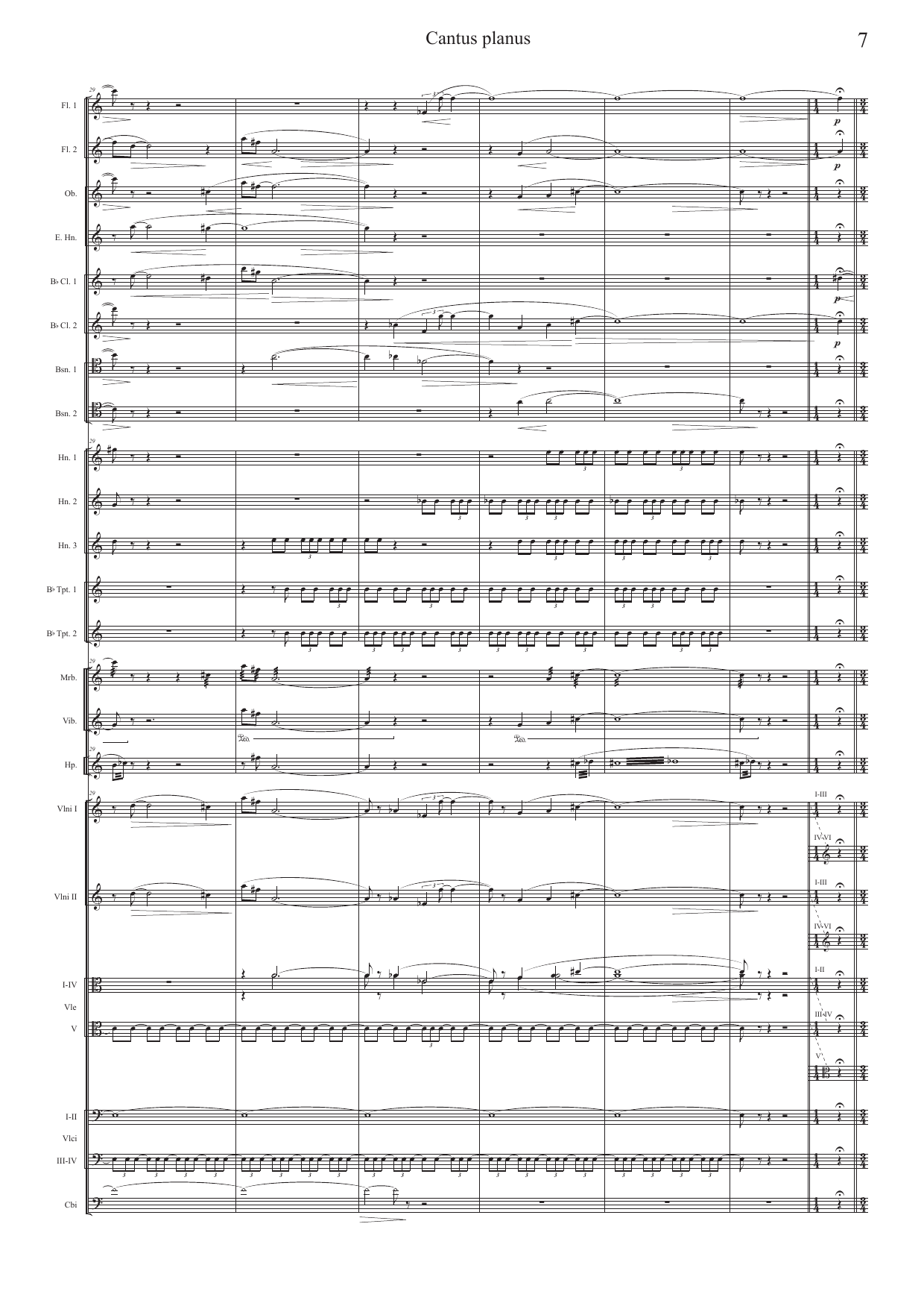 Cantus planus - for orchestra - Image 7