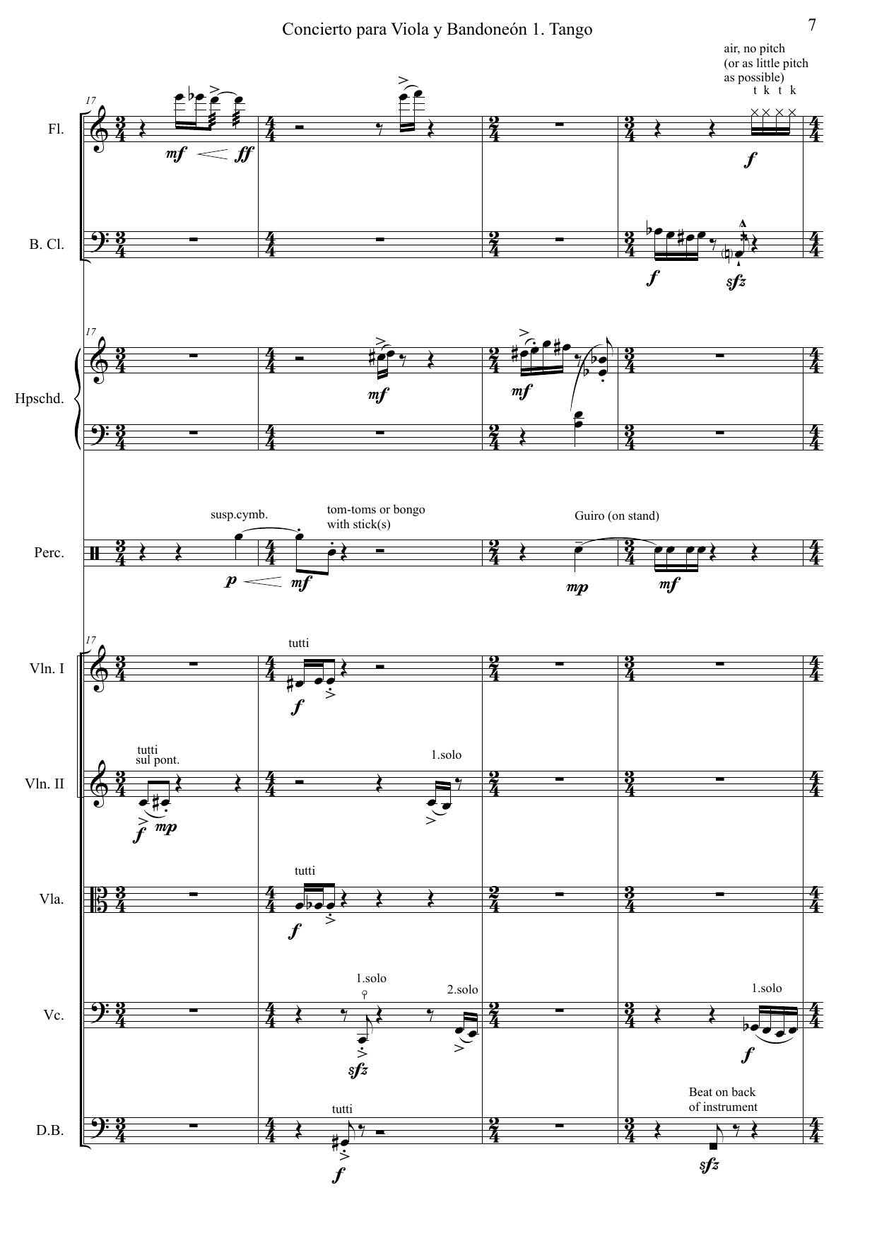 Double Concerto for viola, bandoneon and chamber orchestra - Bilde 7