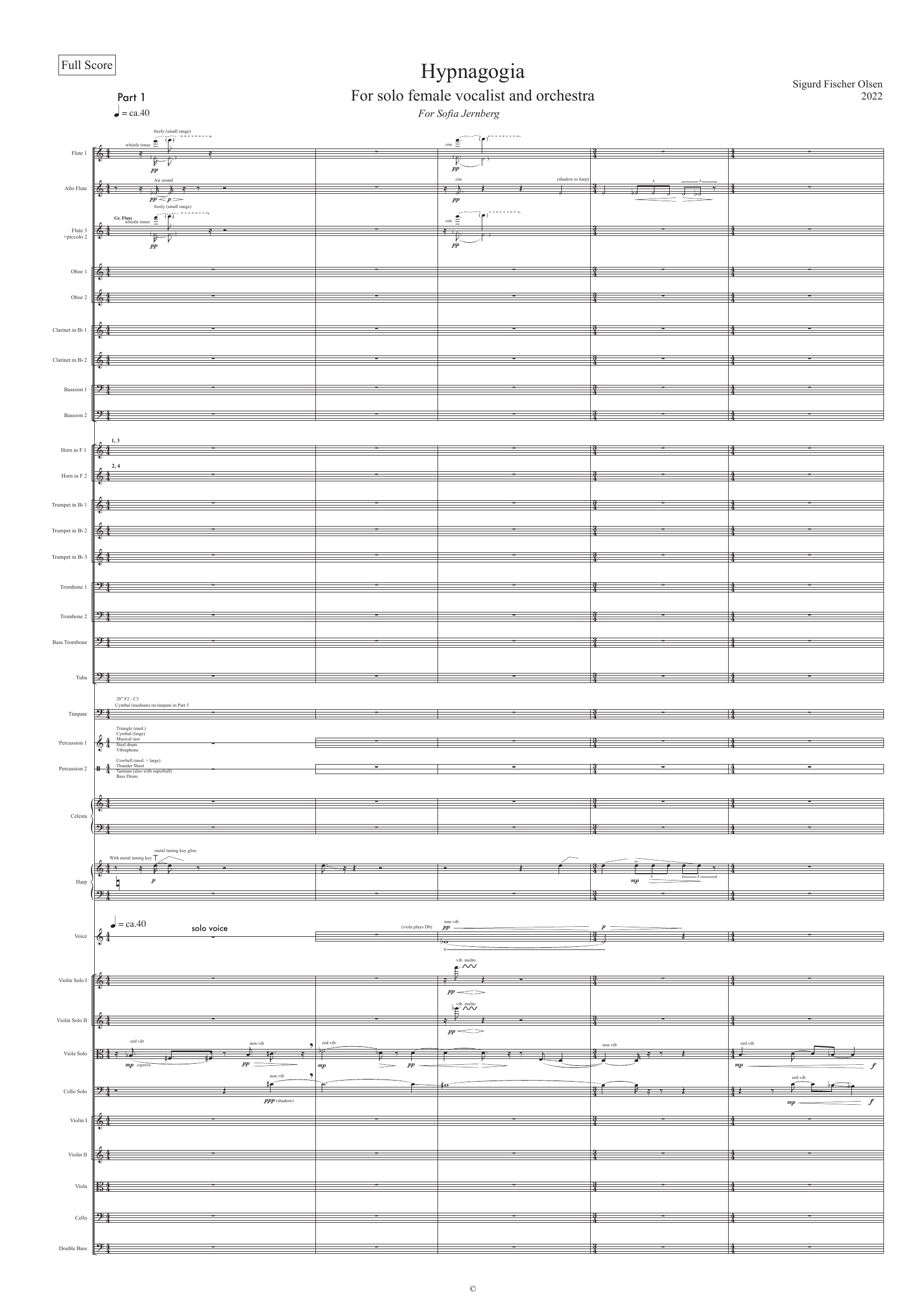 Hypnagogia - For lightly amplified voice and orchestra - Image 5