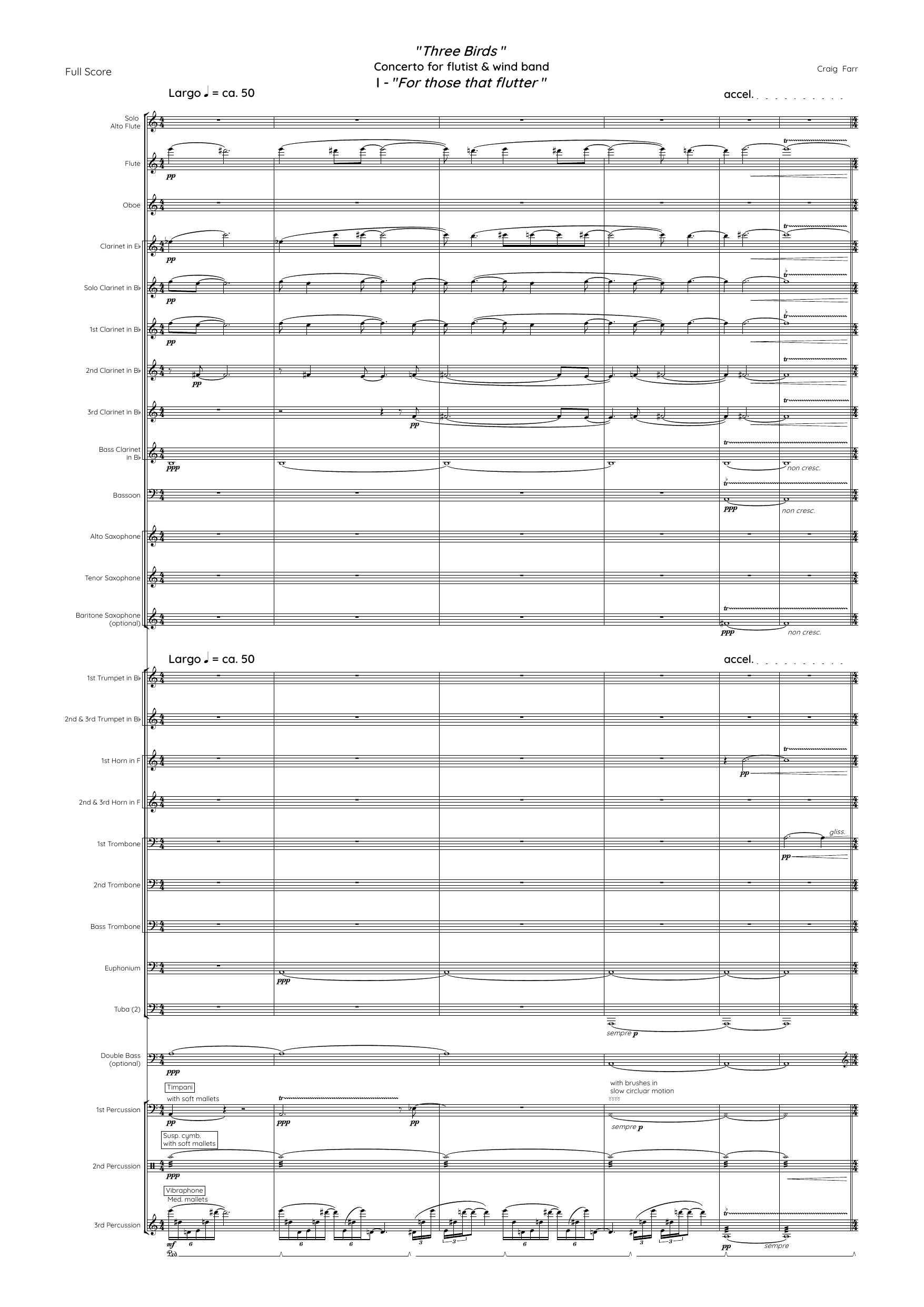 Three Birds - Concerto in three movements for flutist and wind band - Image 5
