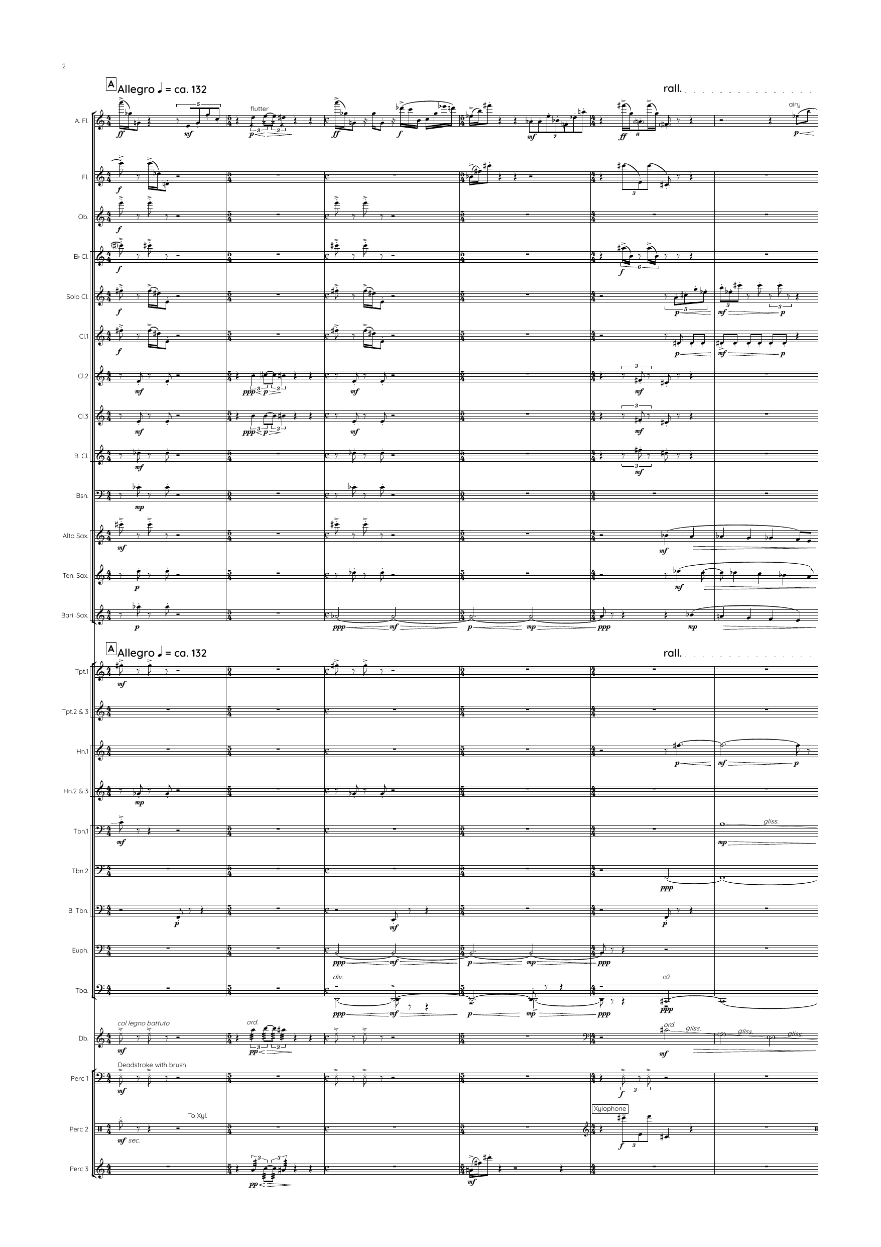 Three Birds - Concerto in three movements for flutist and wind band - Image 6