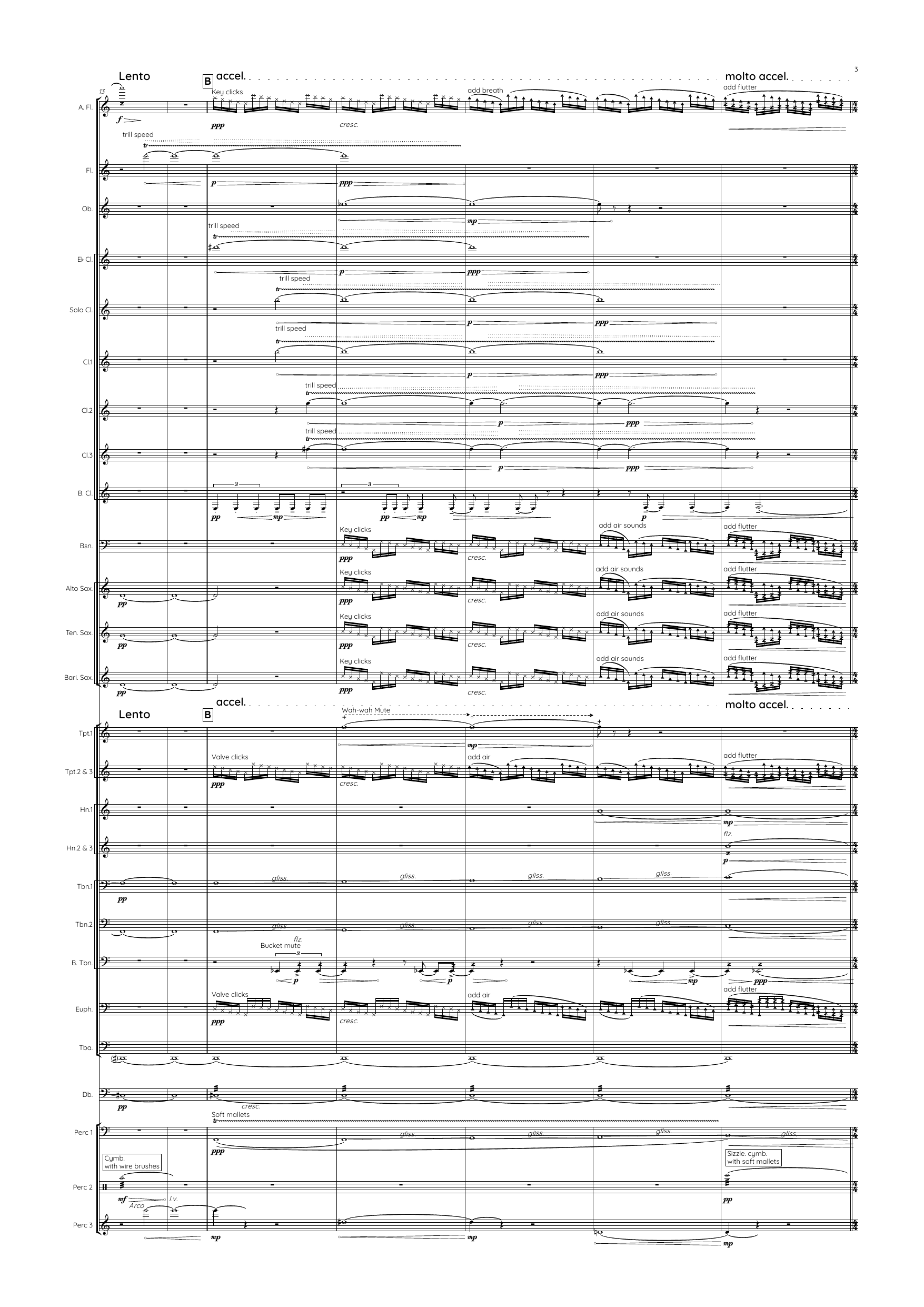 Three Birds - Concerto in three movements for flutist and wind band - Image 7
